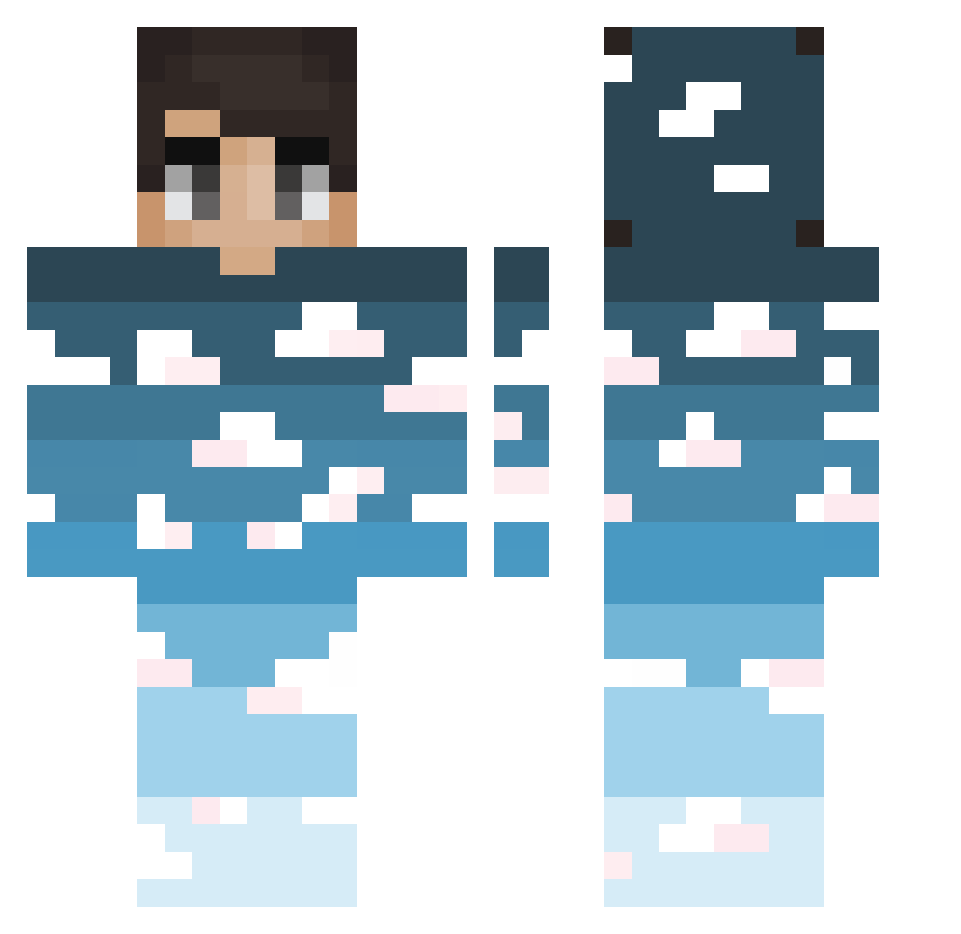 Polarimeter Minecraft skin, front and back view