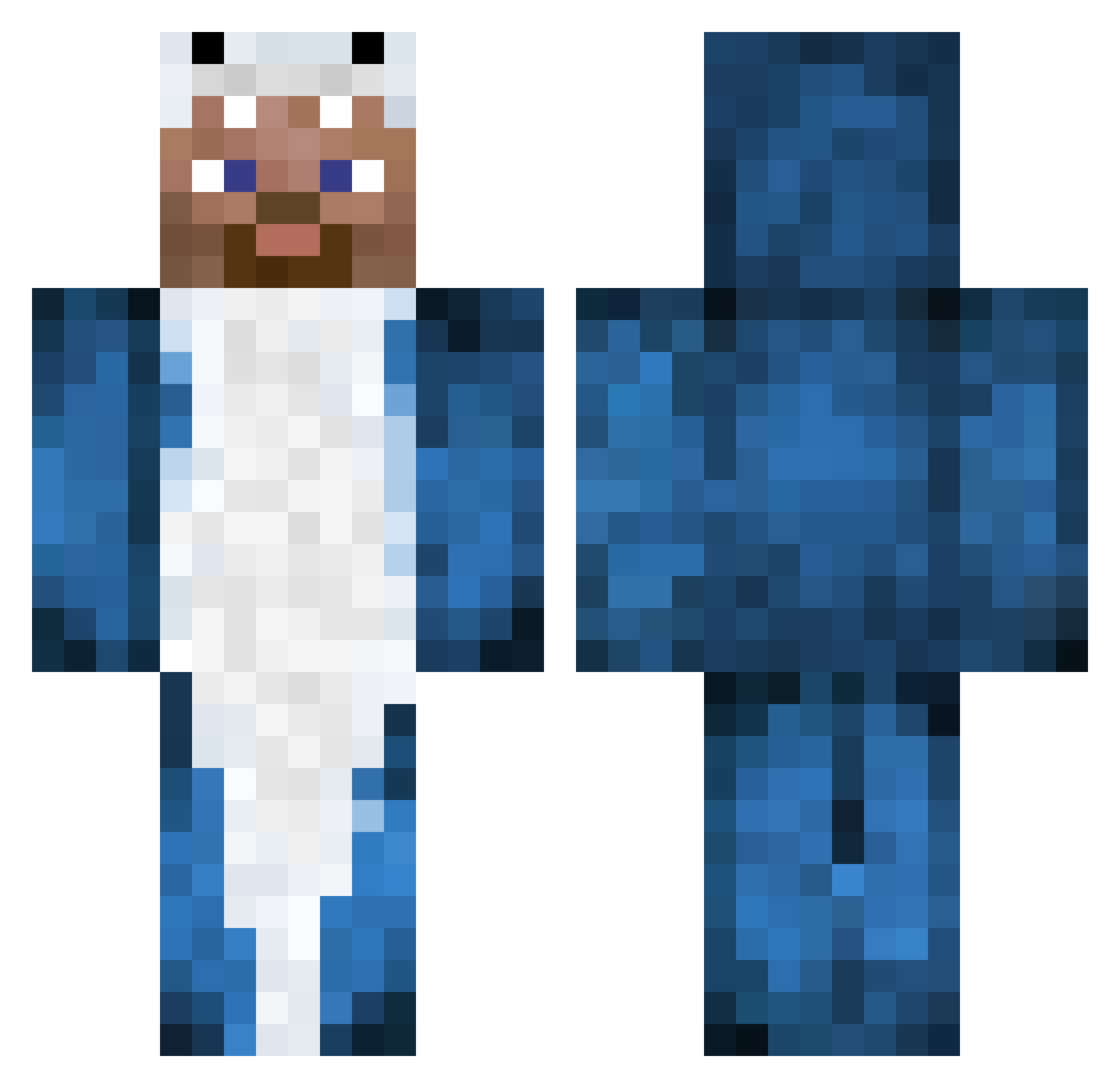 Punnier Minecraft skin, front and back view