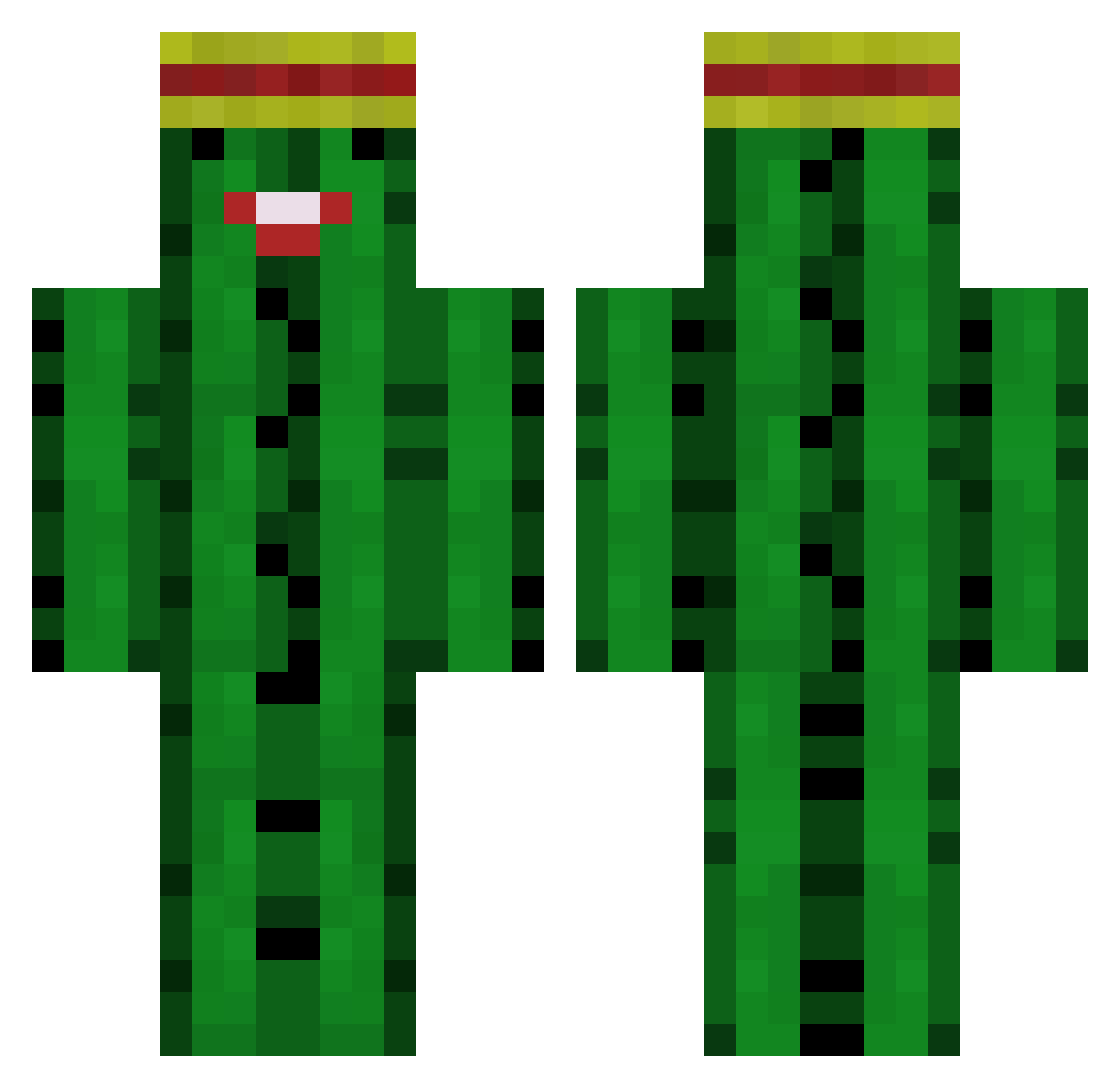 Jeritoto Minecraft skin, front and back view