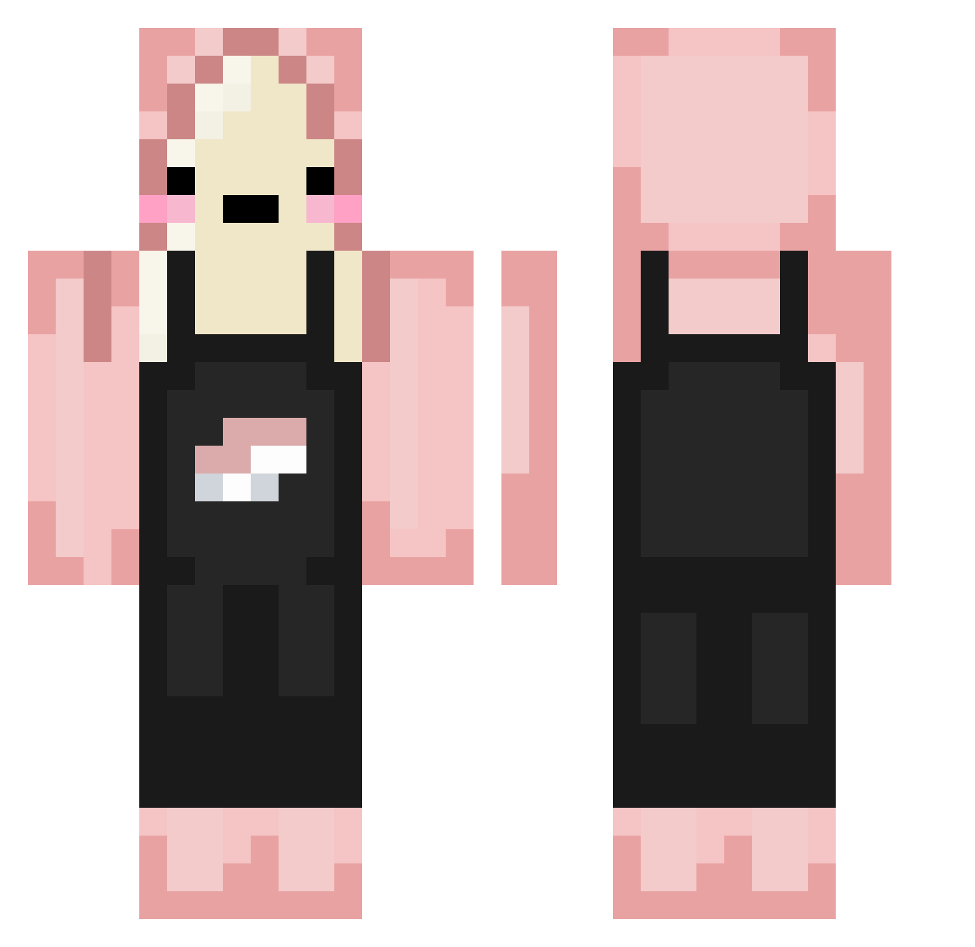 PixelSushi Minecraft skin, front and back view