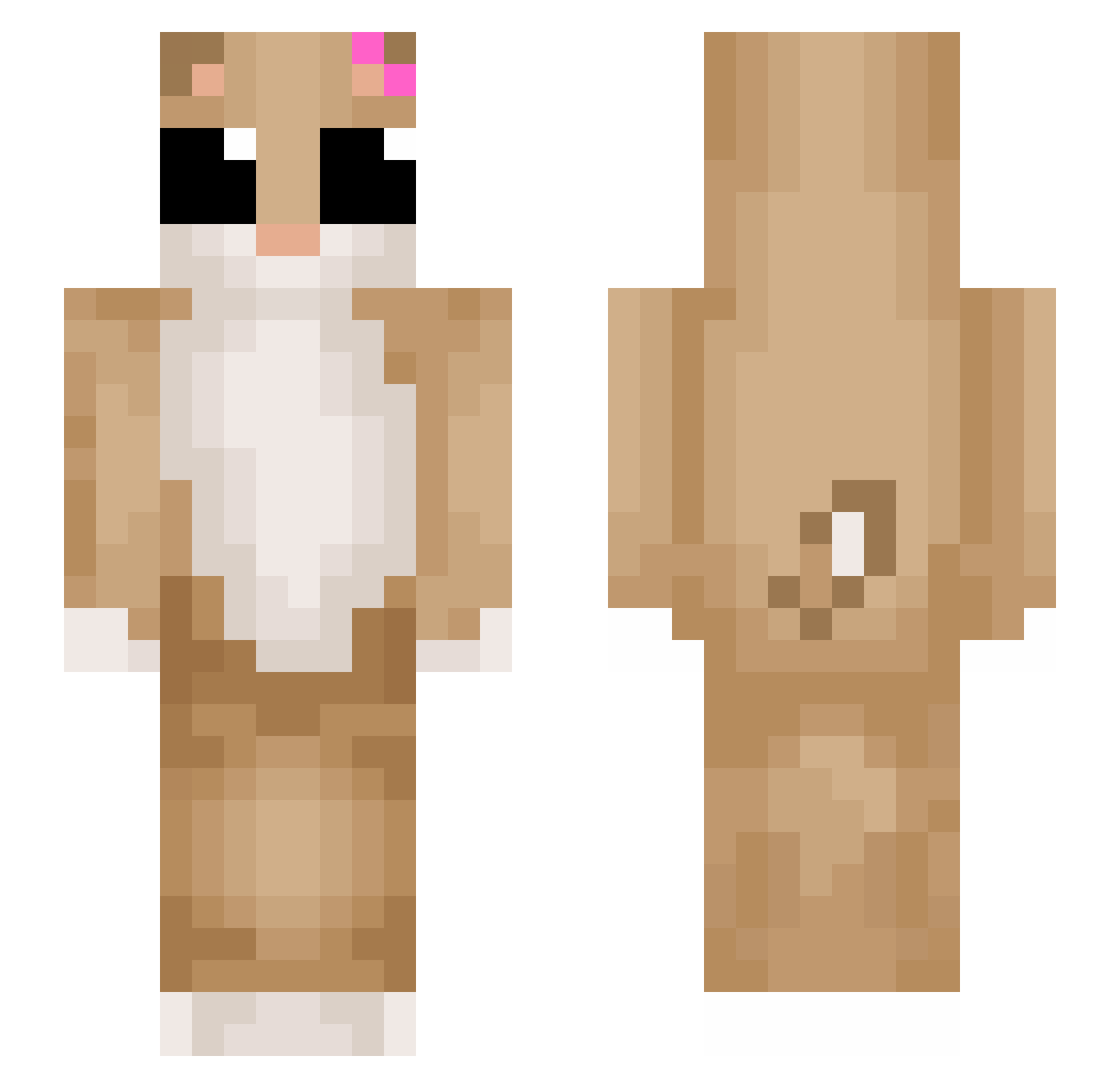 PengyPengo Minecraft skin, front and back view