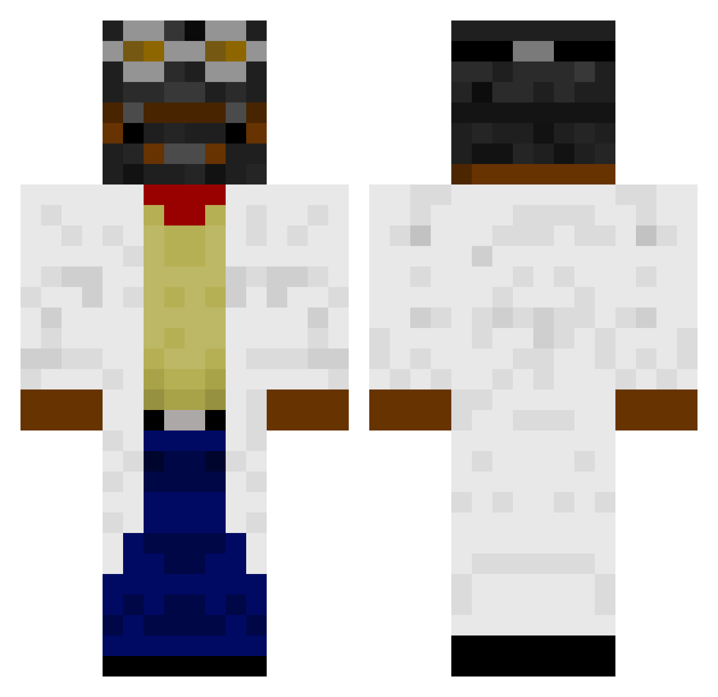BeePoo555 Minecraft skin, front and back view