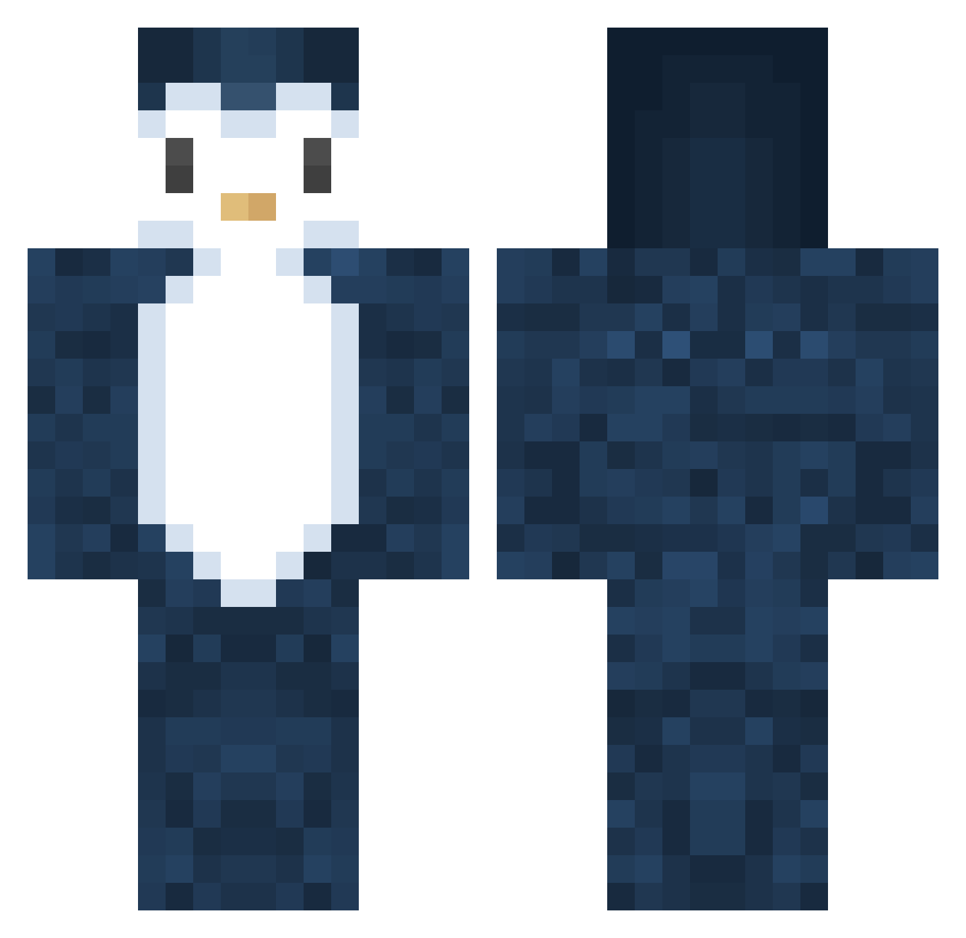 ZorsalG Minecraft skin, front and back view