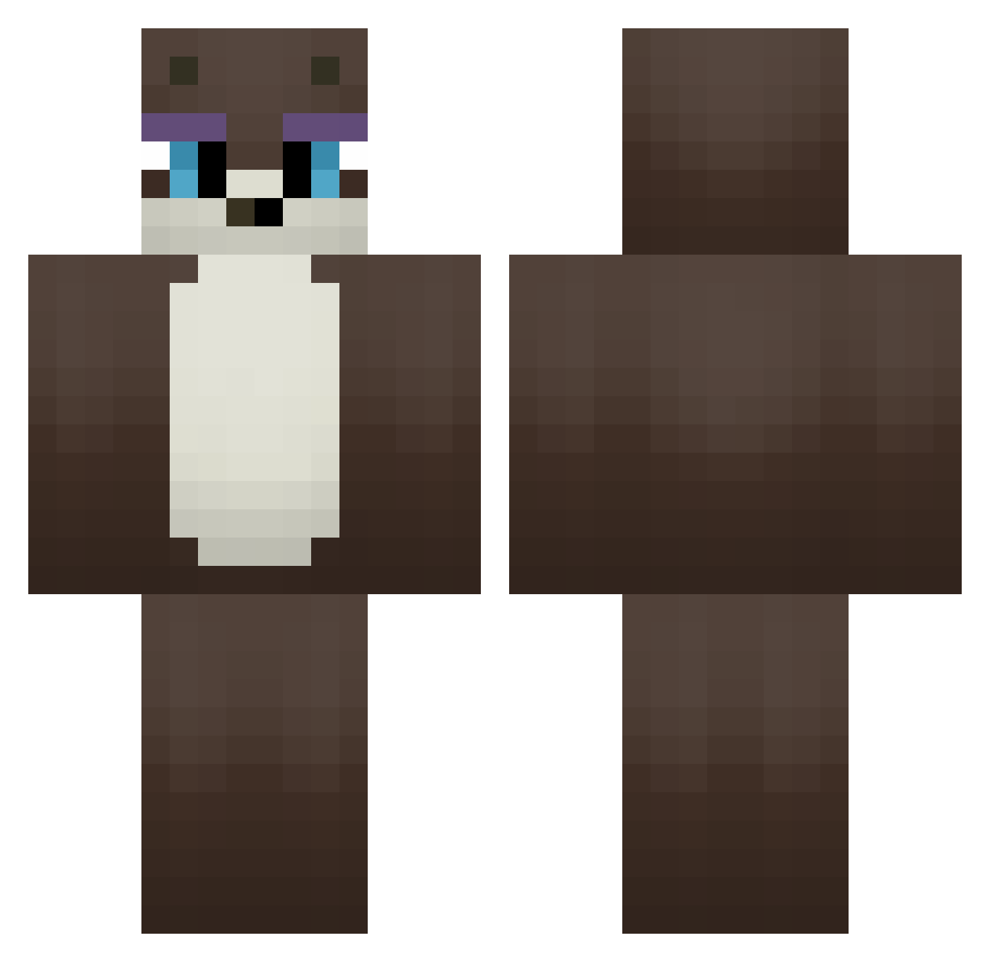 Toxico364 Minecraft skin, front and back view