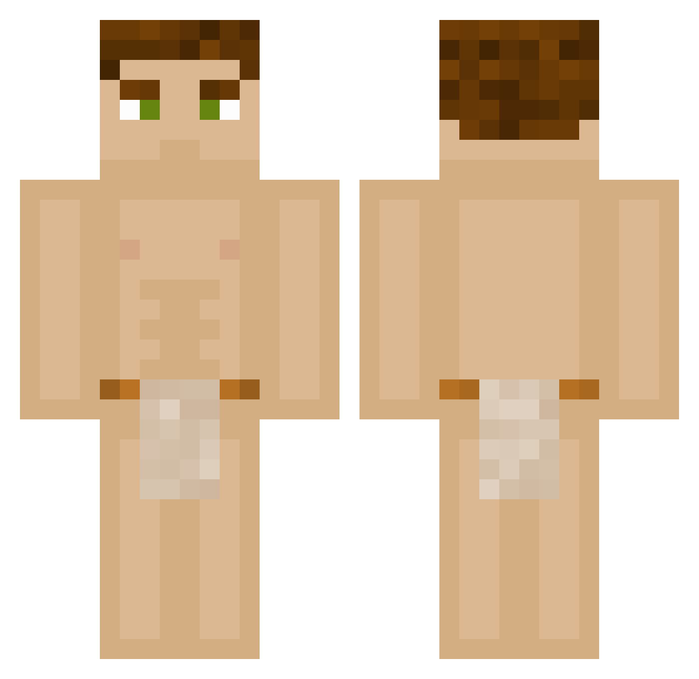 Tensorial Minecraft skin, front and back view