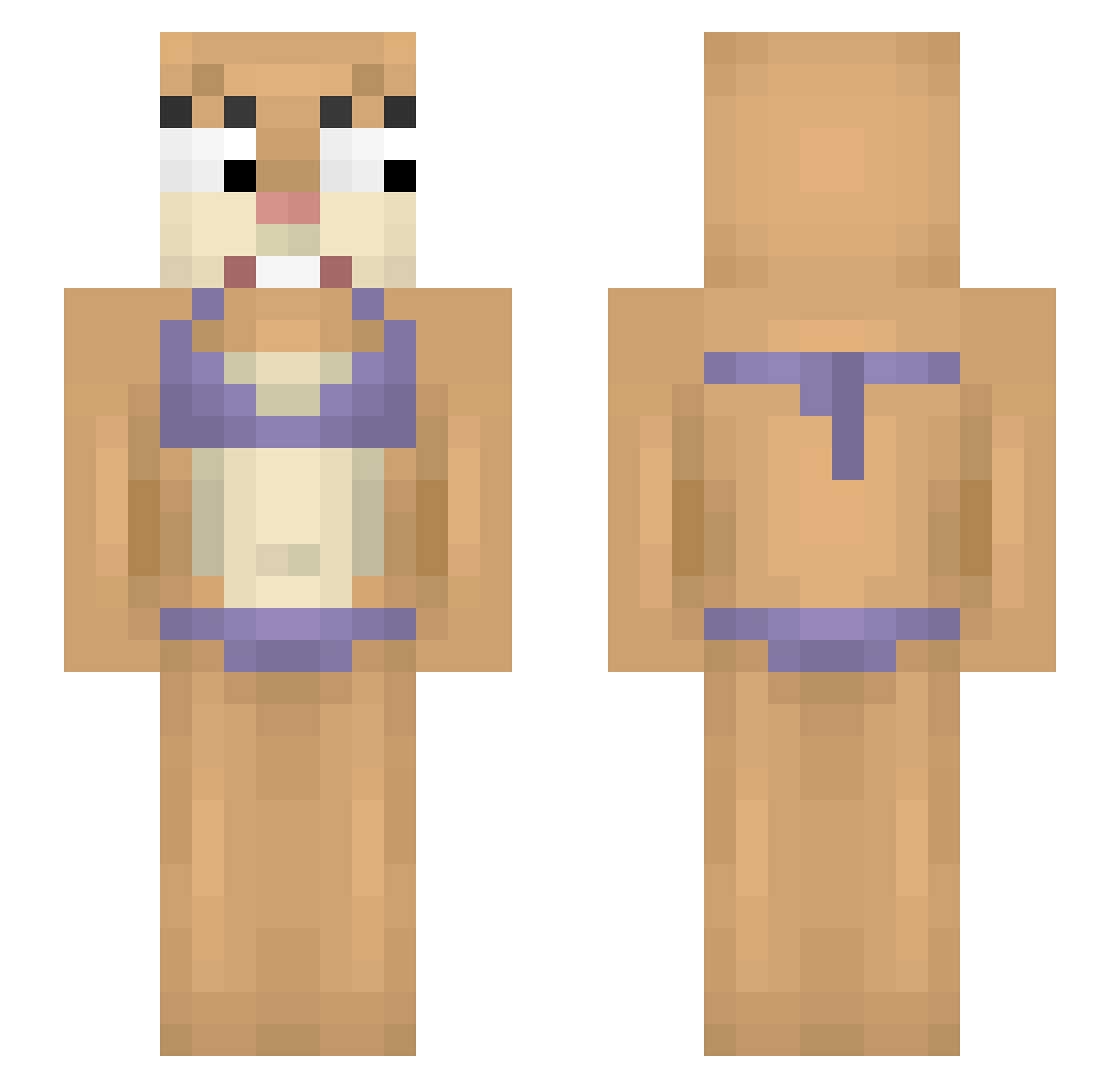 Paucld Minecraft skin, front and back view