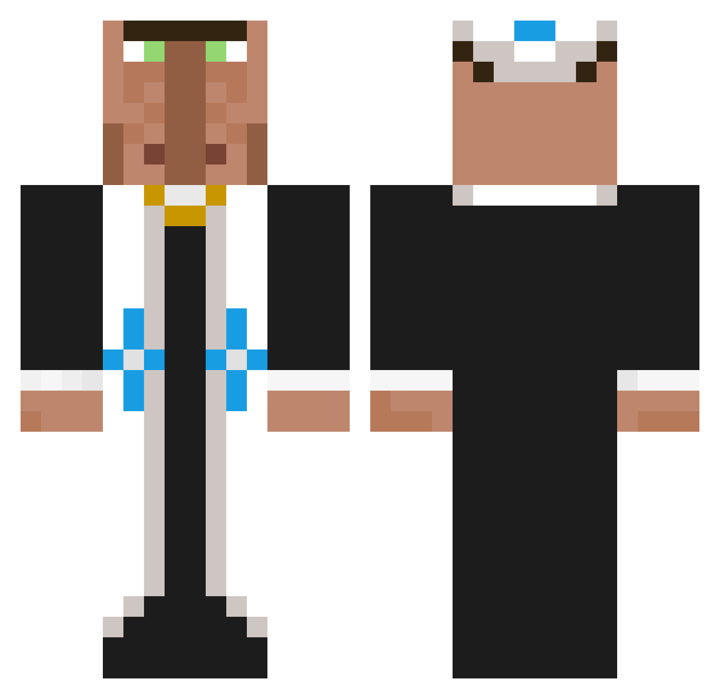 sjoelefant Minecraft skin, front and back view