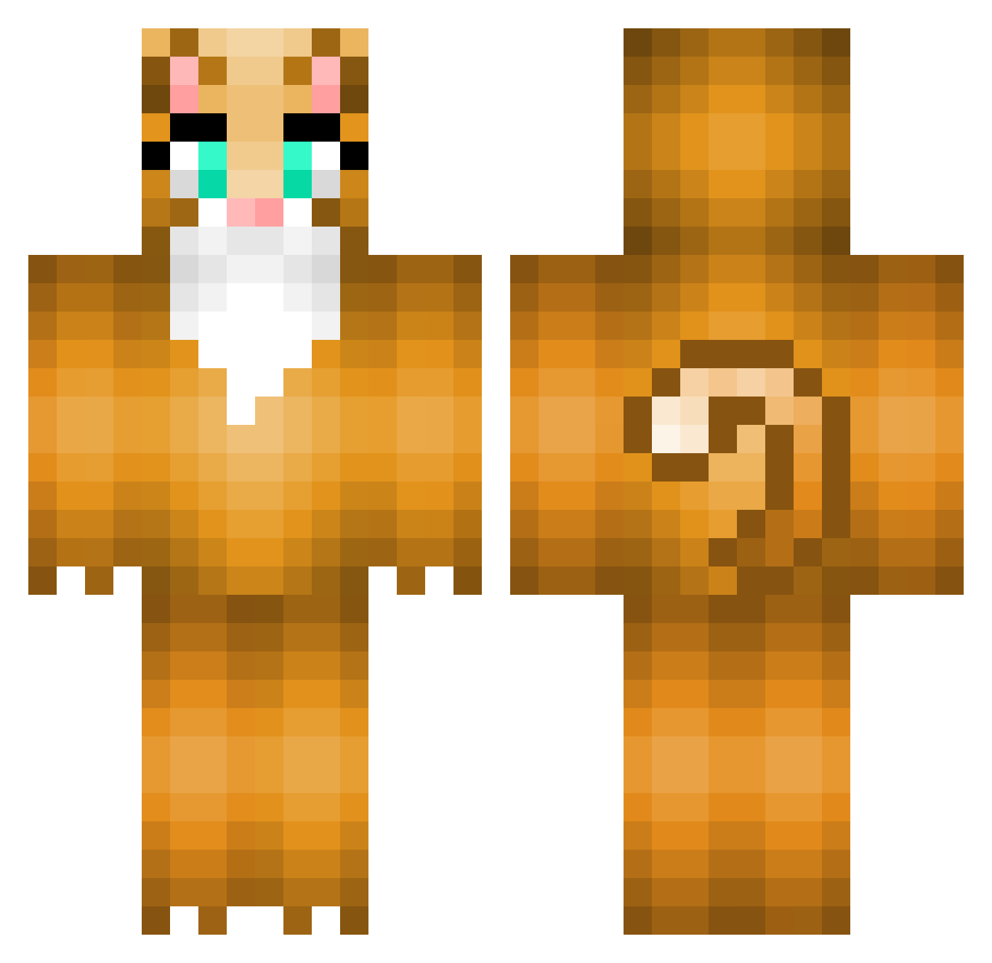 Dj_Ninja_Cat Minecraft skin, front and back view