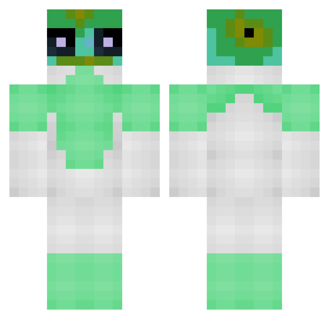 Flixble21 Minecraft skin, front and back view