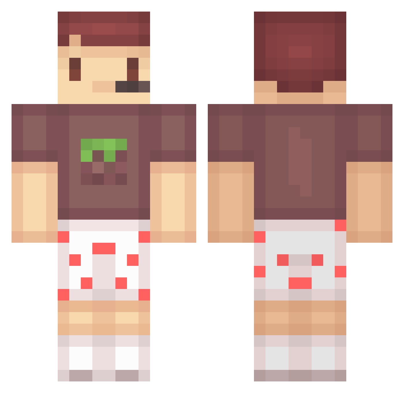 Photography Minecraft skin, front and back view