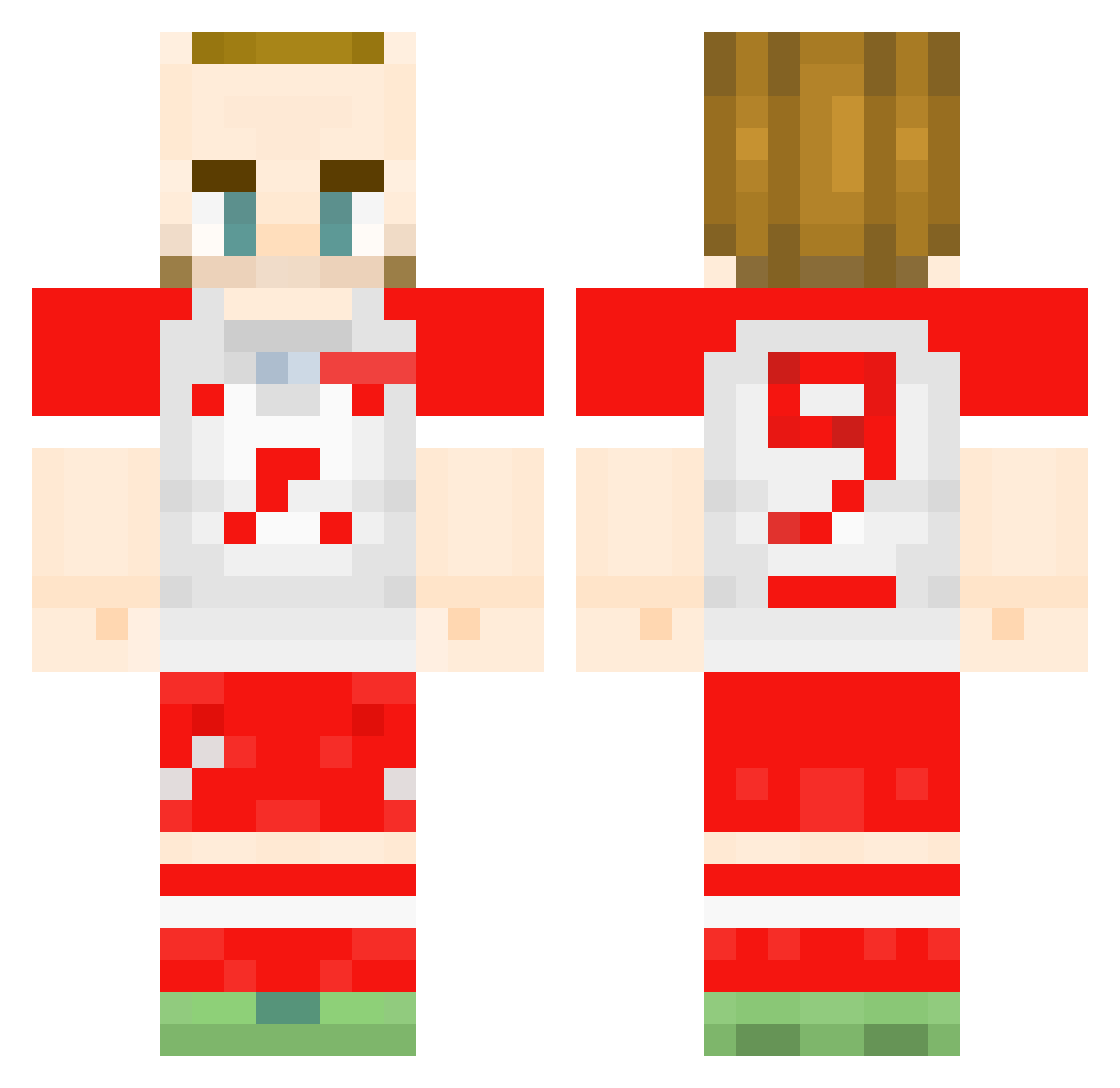 DomestosPowerWC Minecraft skin, front and back view