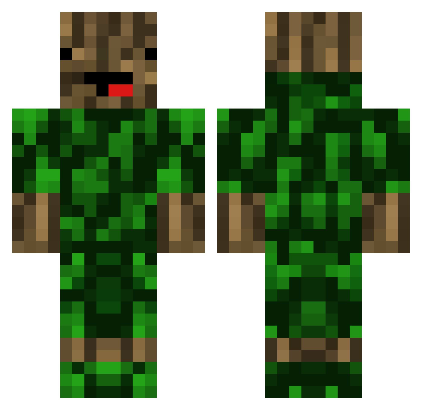 Kamerplantenbak Minecraft skin, front and back view