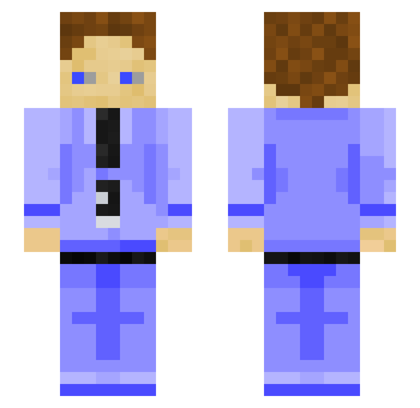 Tvveedlex Minecraft skin, front and back view