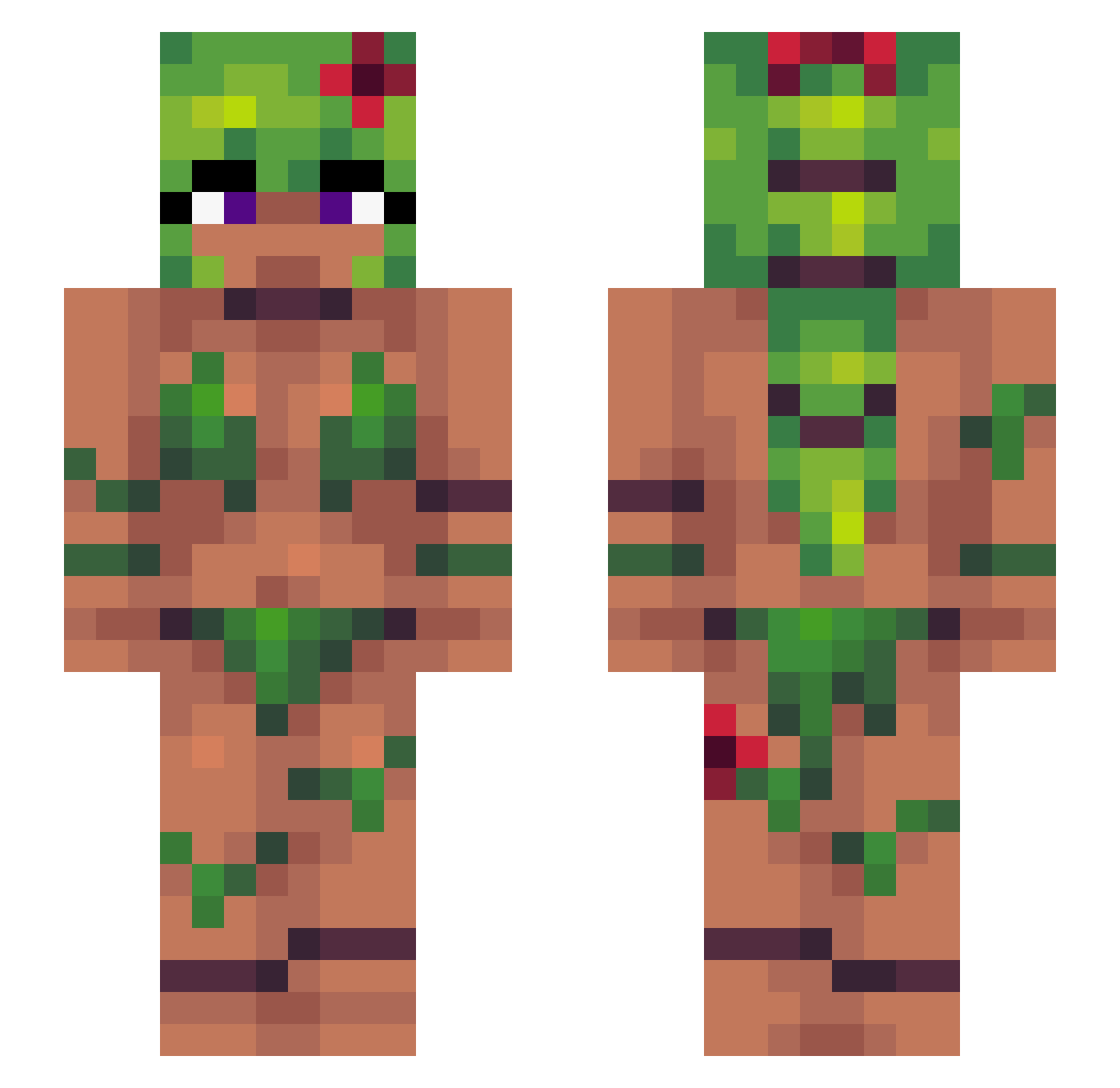 FransysDikiy Minecraft skin, front and back view