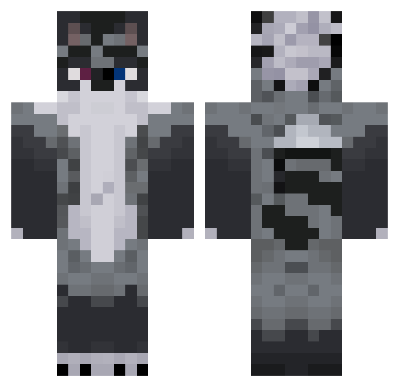 Renezion Minecraft skin, front and back view