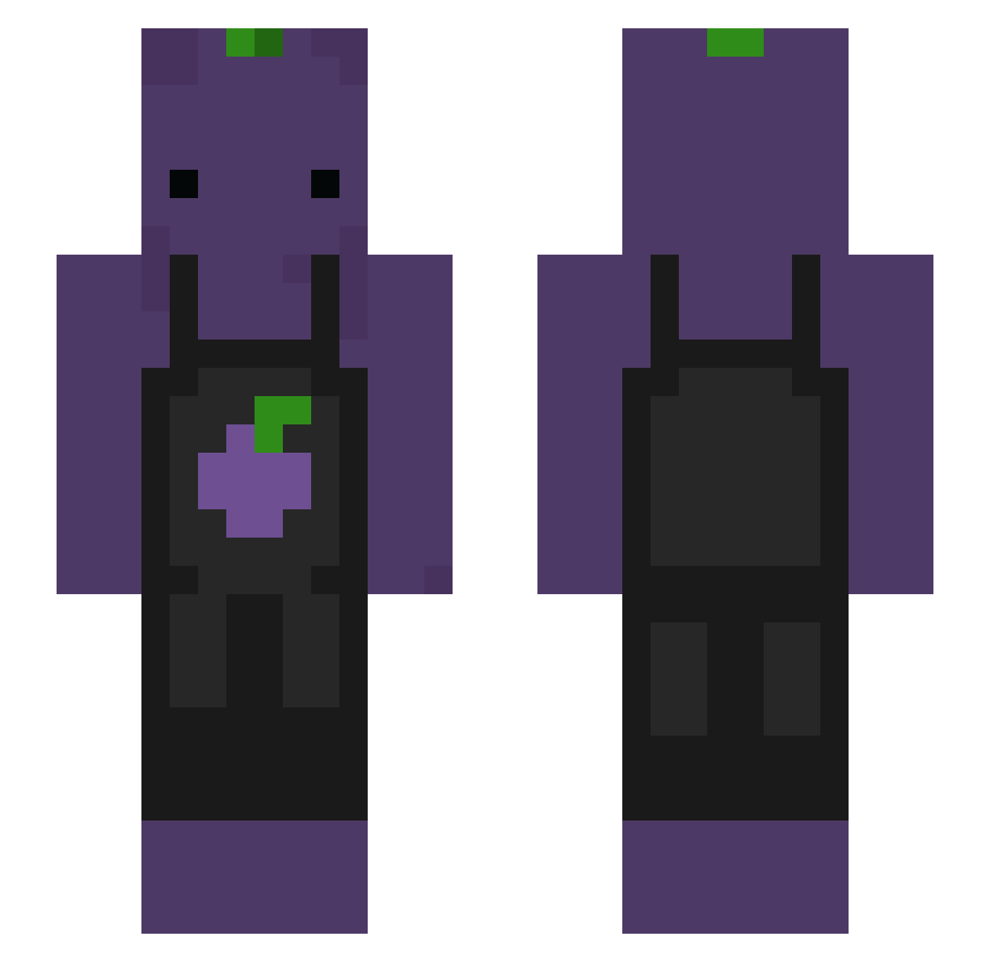 _Hatter Minecraft skin, front and back view