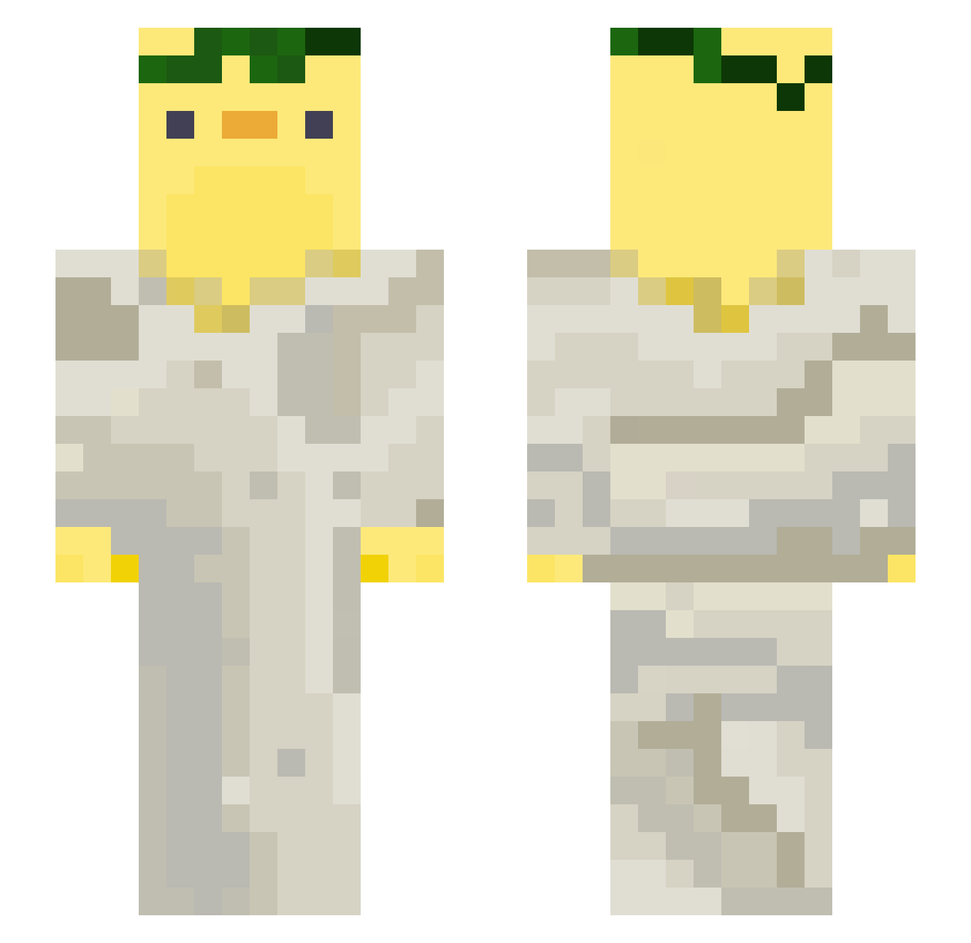 Ducklotl Minecraft skin, front and back view