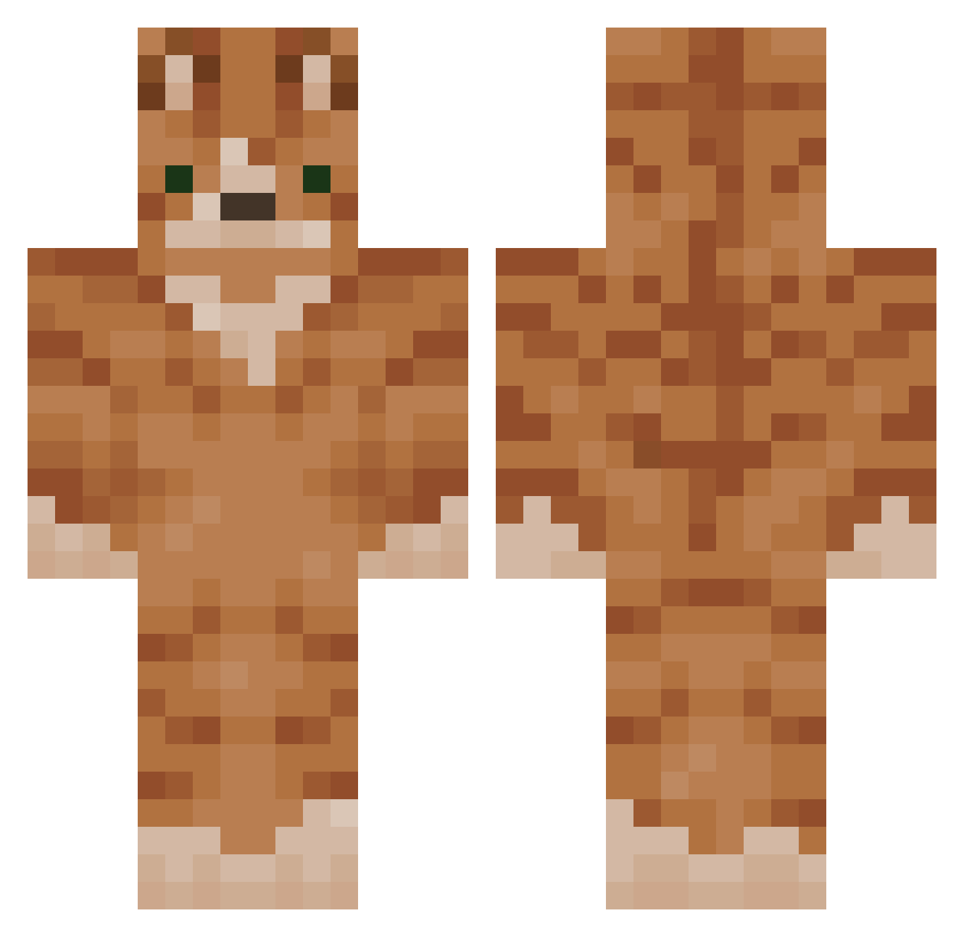 ISAACCH8 Minecraft skin, front and back view