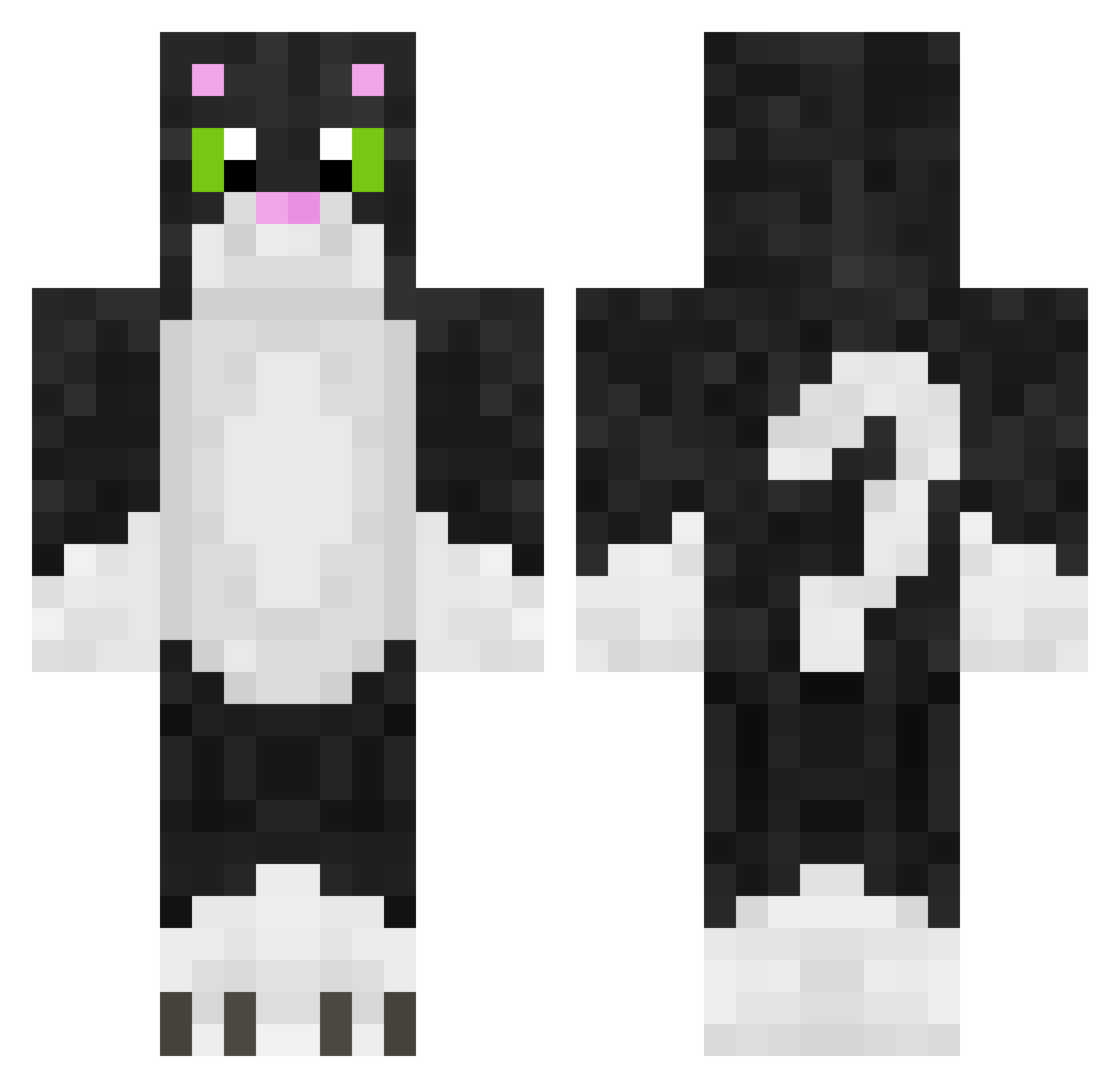 Molden Minecraft skin, front and back view