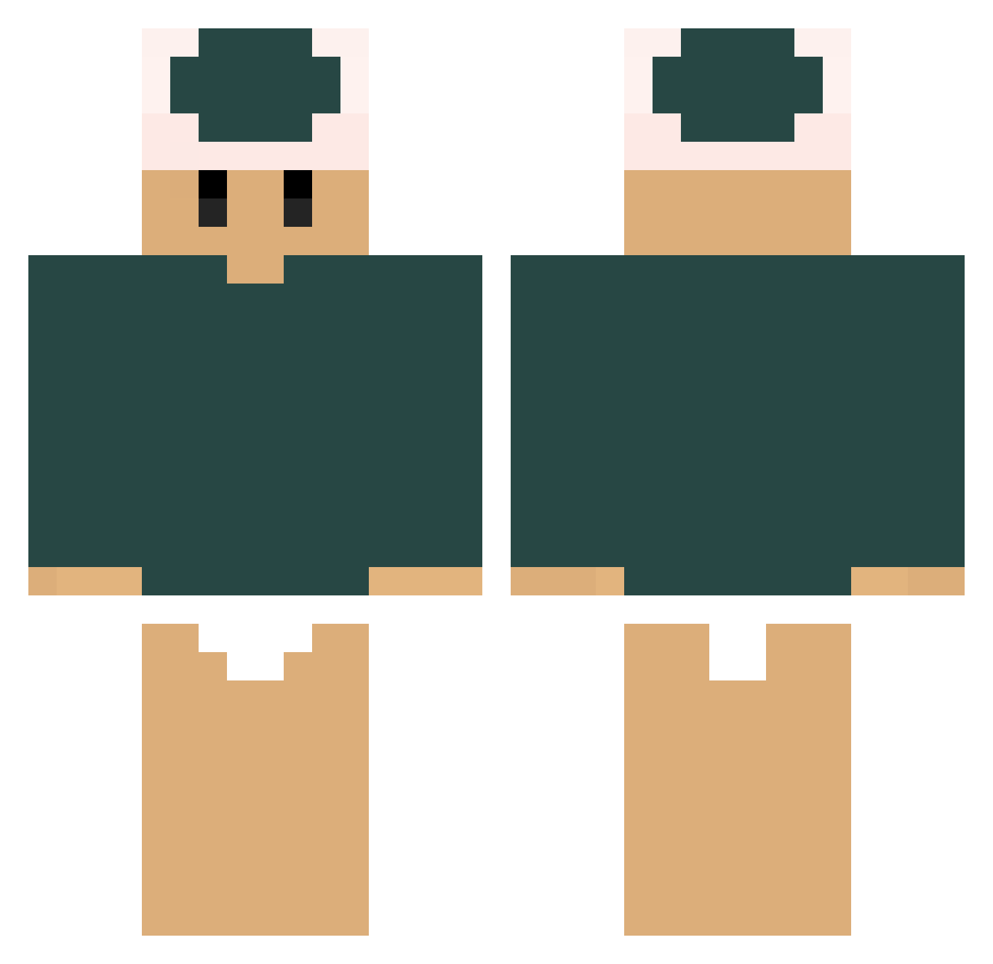 TheWiron Minecraft skin, front and back view