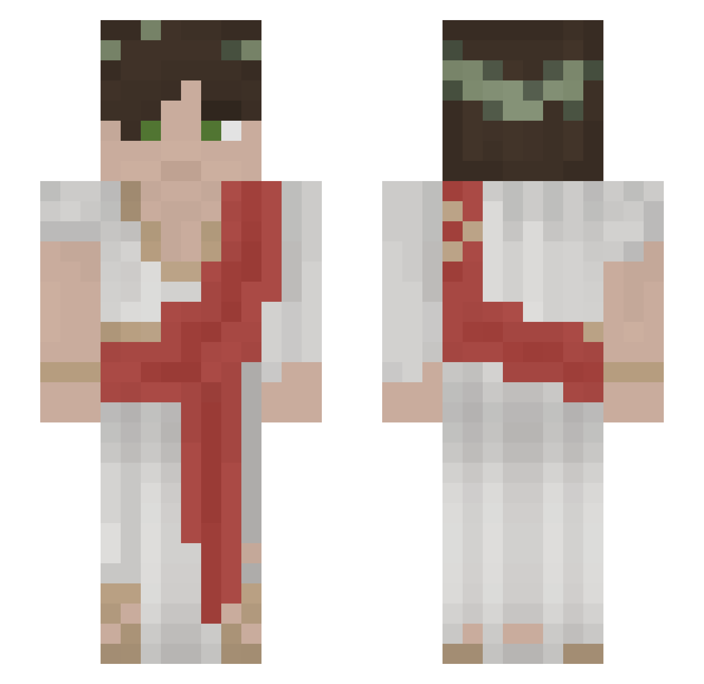 14881939_ Minecraft skin, front and back view
