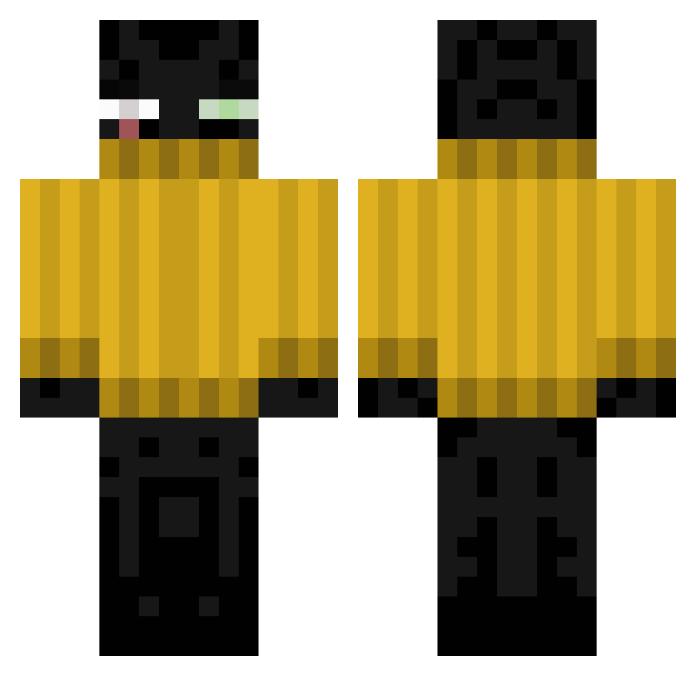 Genzic Minecraft skin, front and back view