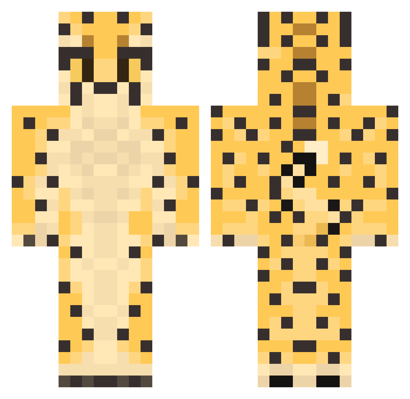 iRiolu Minecraft skin, front and back view