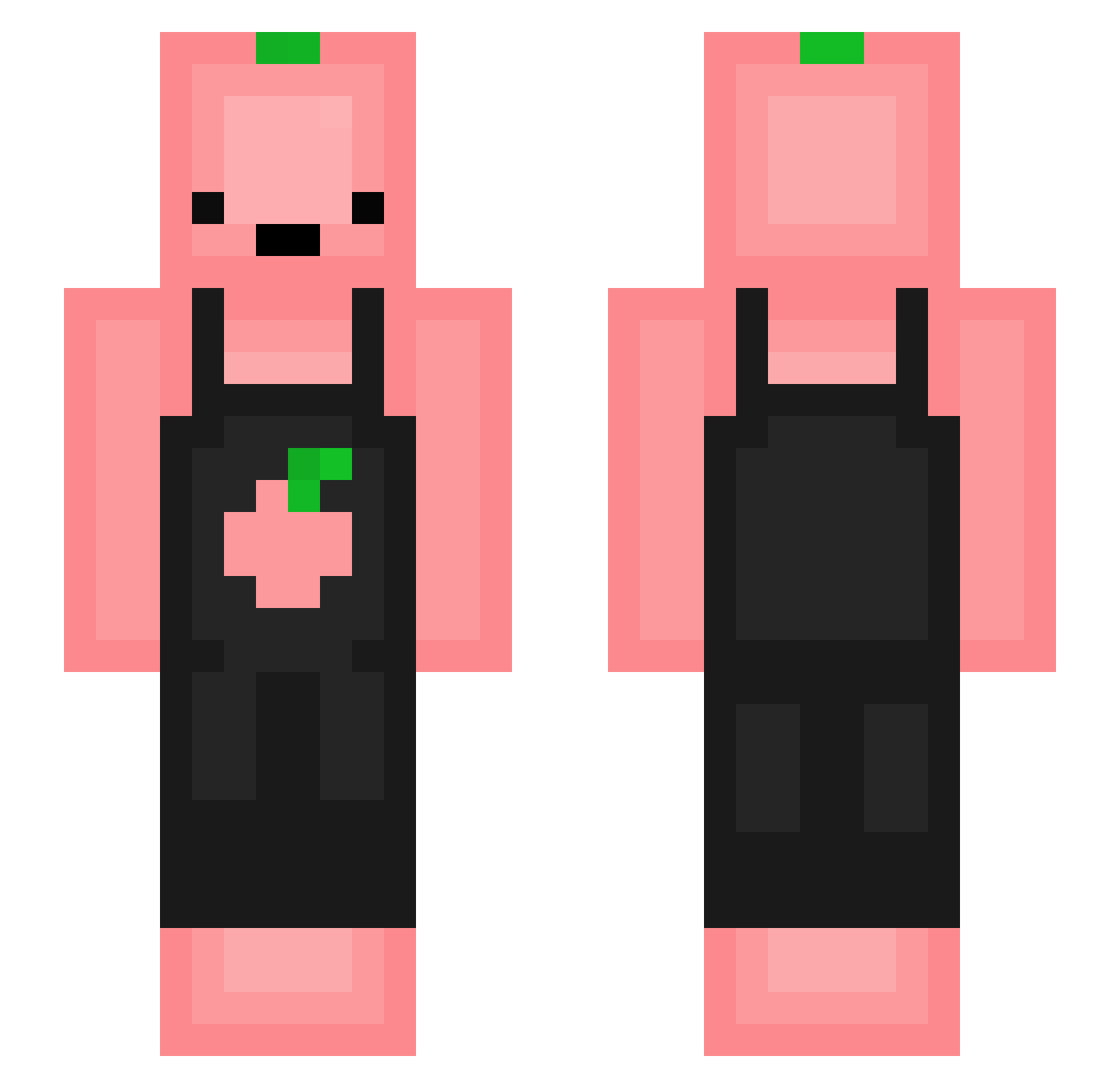 Coryre Minecraft skin, front and back view