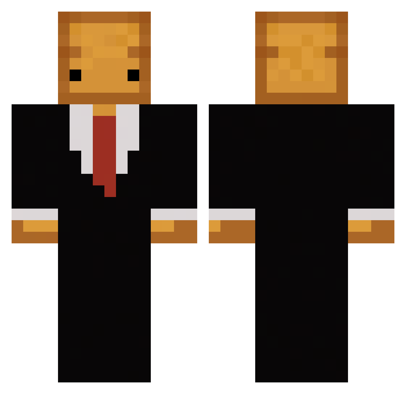 Toomster Minecraft skin, front and back view