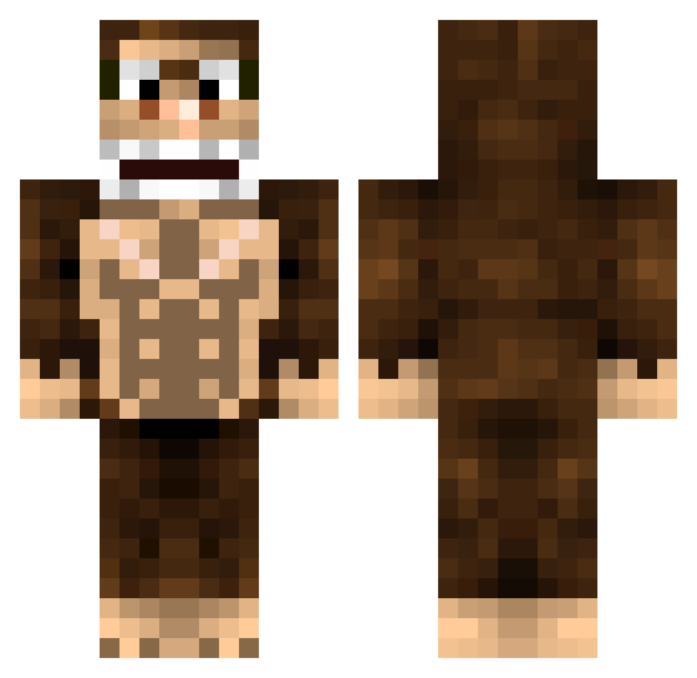 Selfsameness Minecraft skin, front and back view