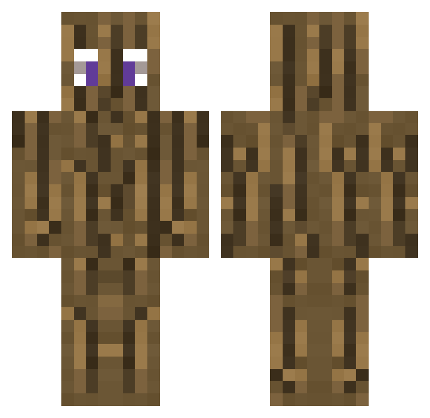 Antix_o Minecraft skin, front and back view
