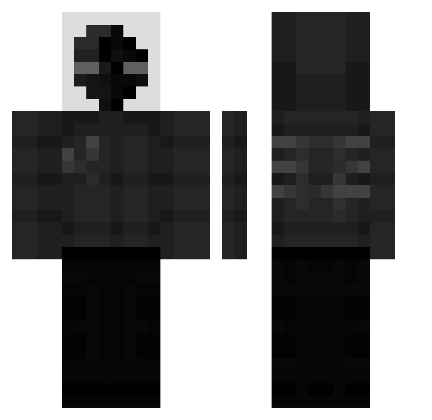 zegsonik137 Minecraft skin, front and back view