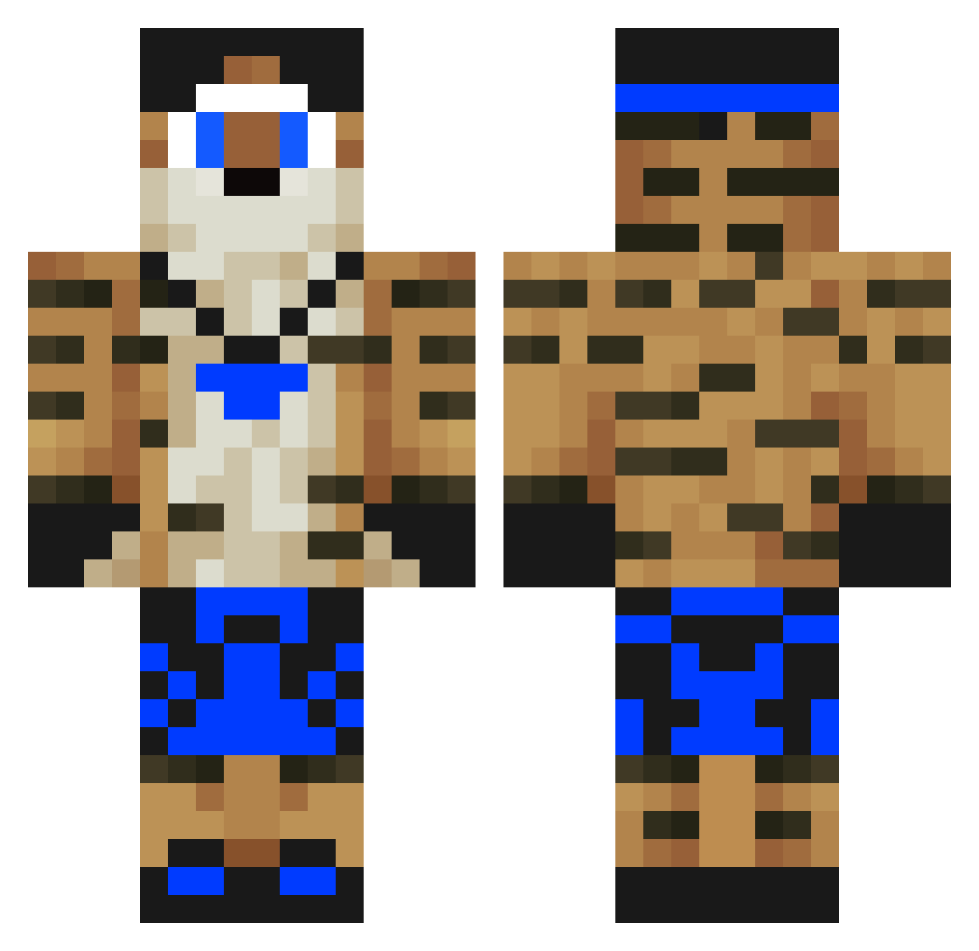 Toupic13 Minecraft skin, front and back view