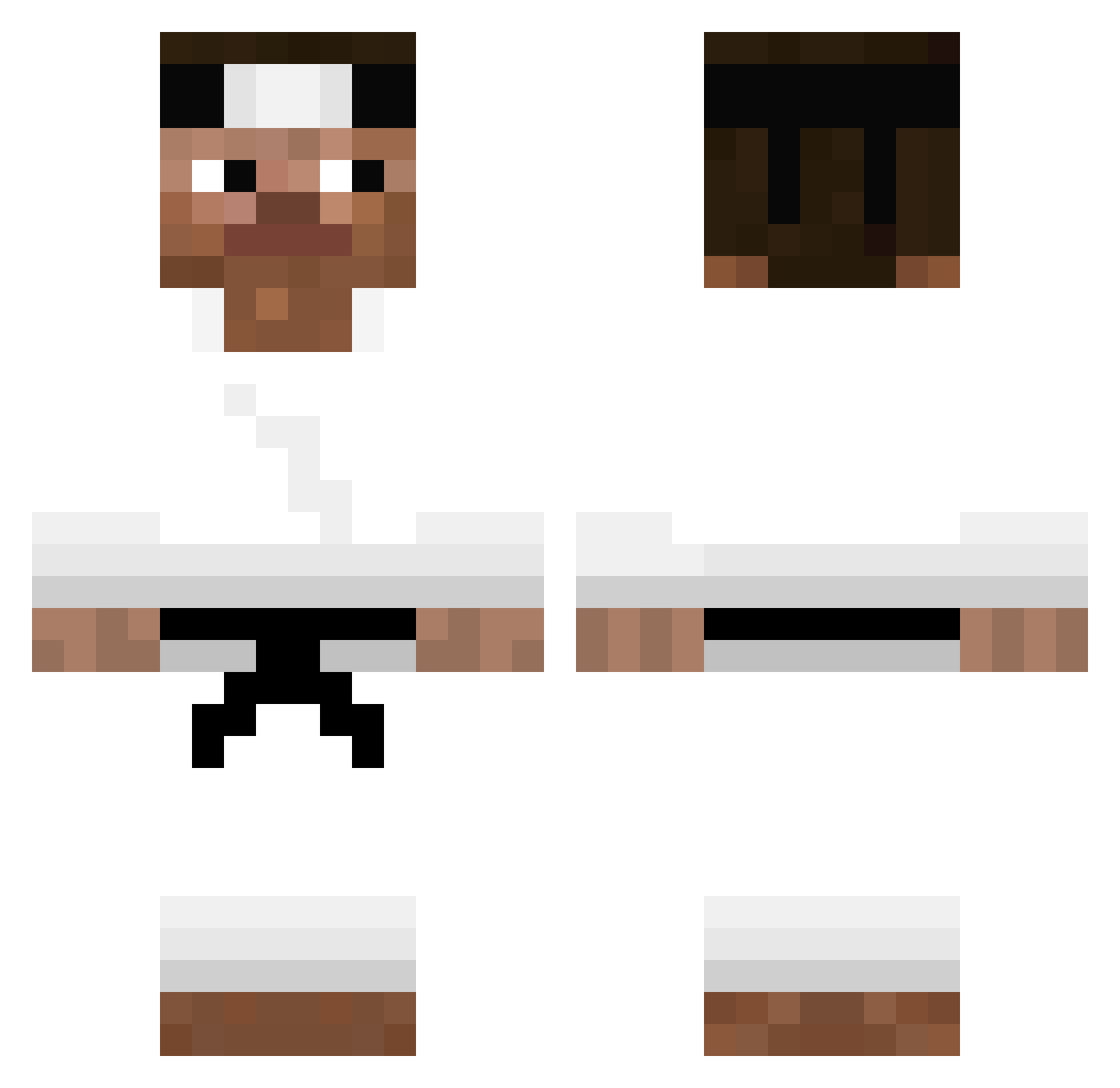 Embrace Minecraft skin, front and back view