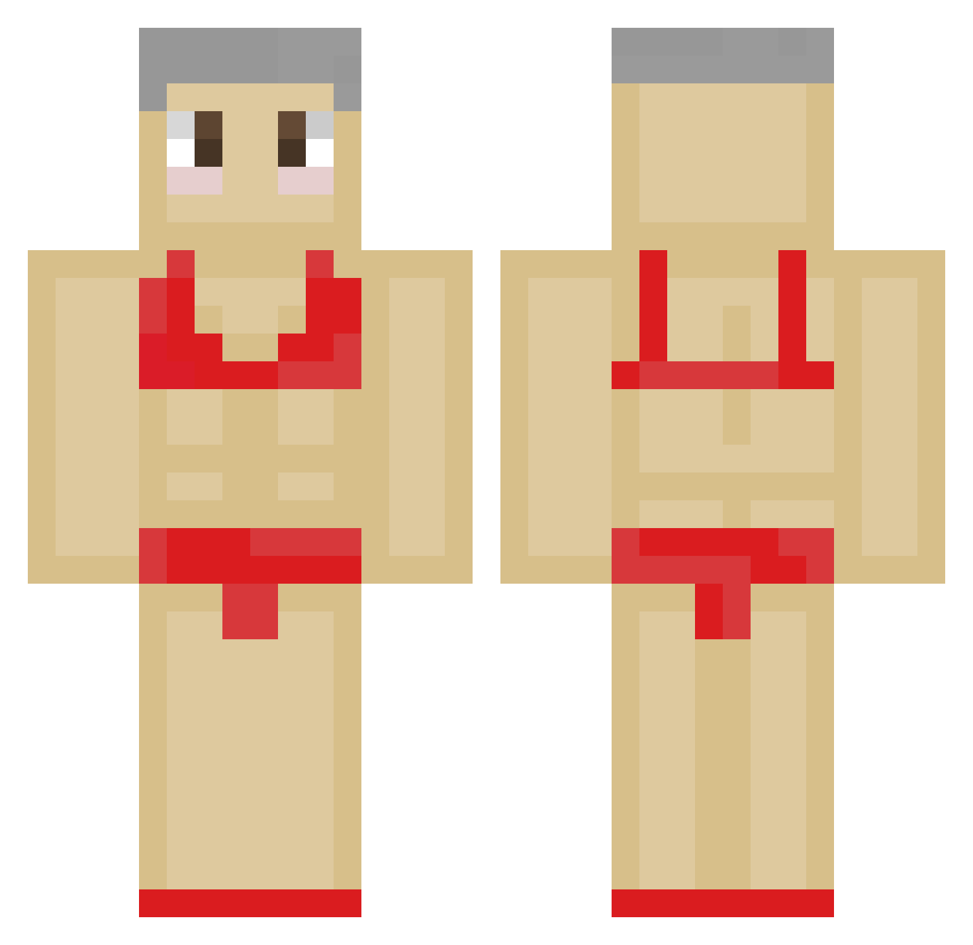 salainen Minecraft skin, front and back view