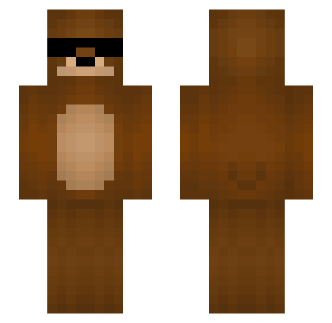 Sy1ta_ Minecraft skin, front and back view