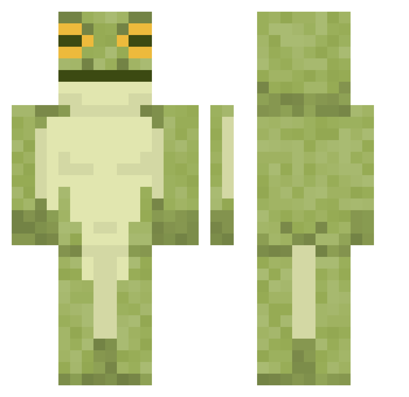 Tizzehl Minecraft skin, front and back view