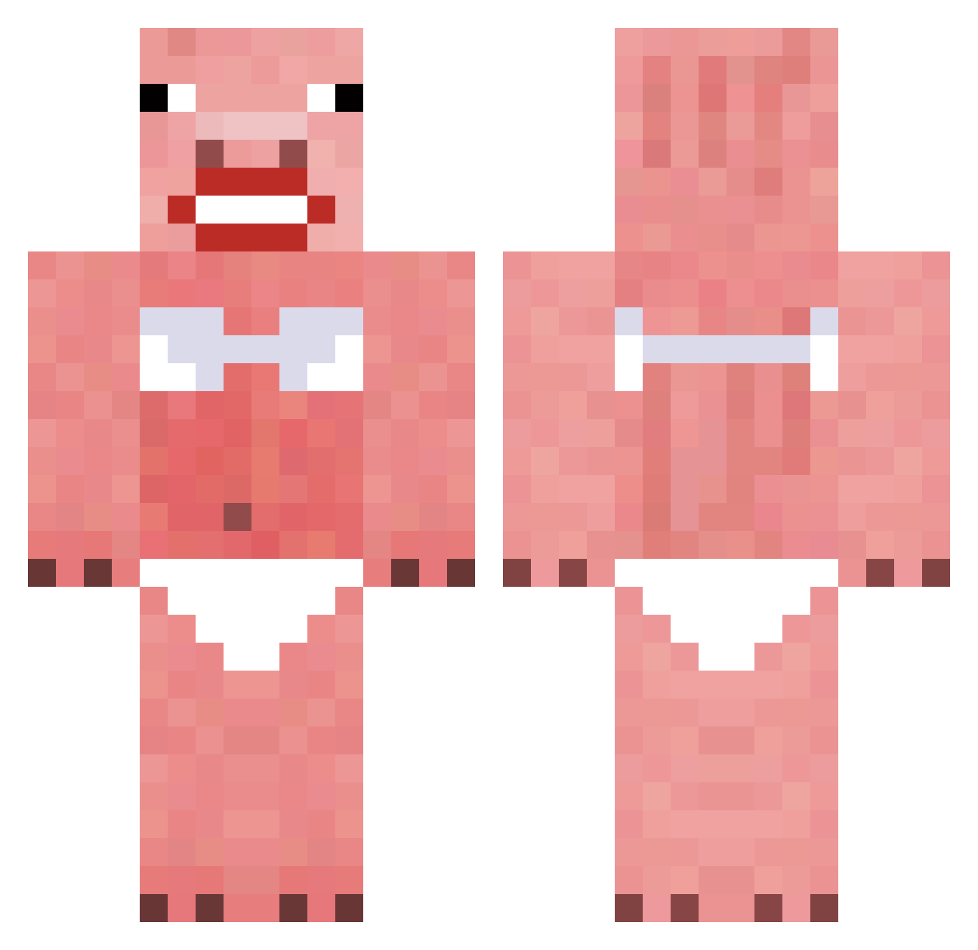inje_ddongkko Minecraft skin, front and back view