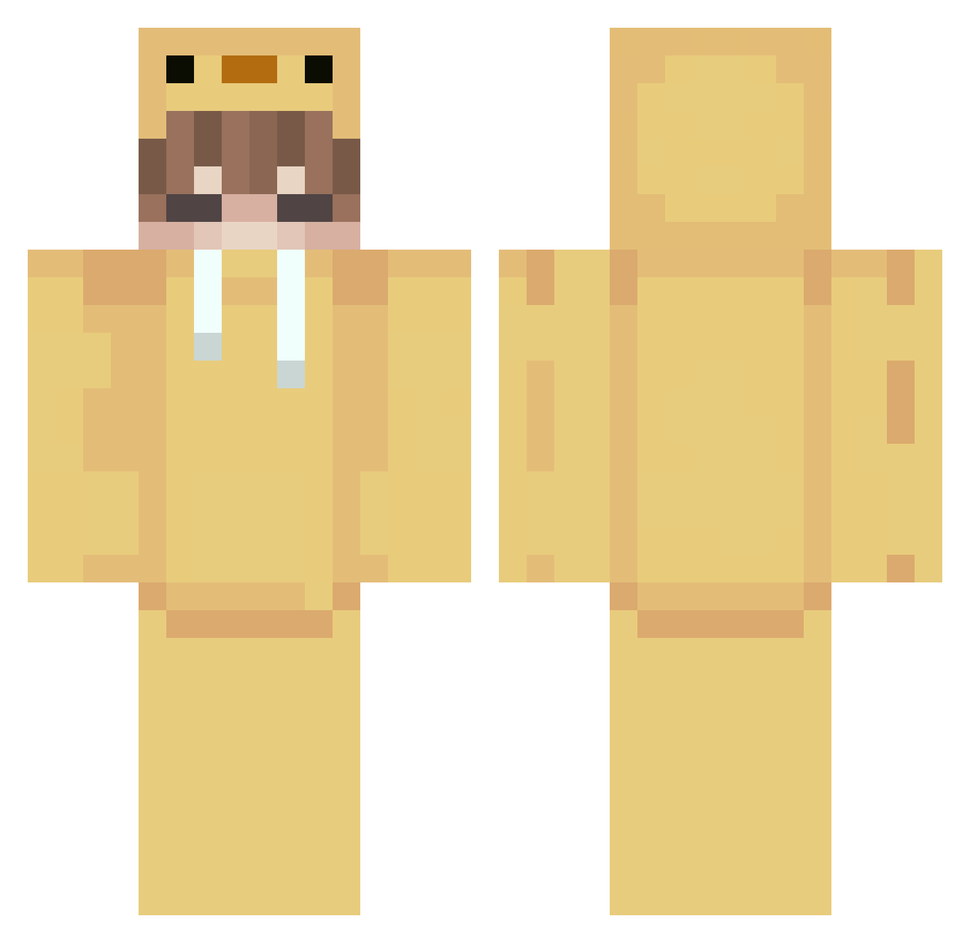 ToanSicula Minecraft skin, front and back view