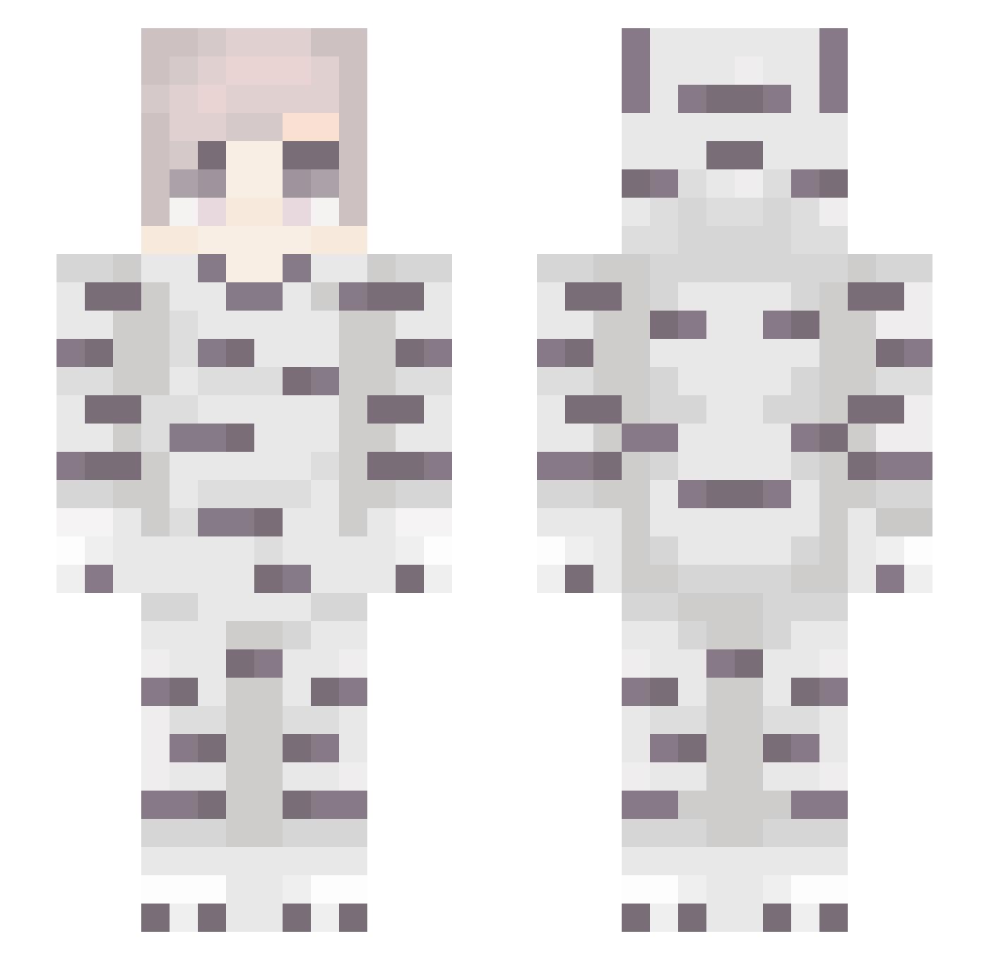 swres Minecraft skin, front and back view