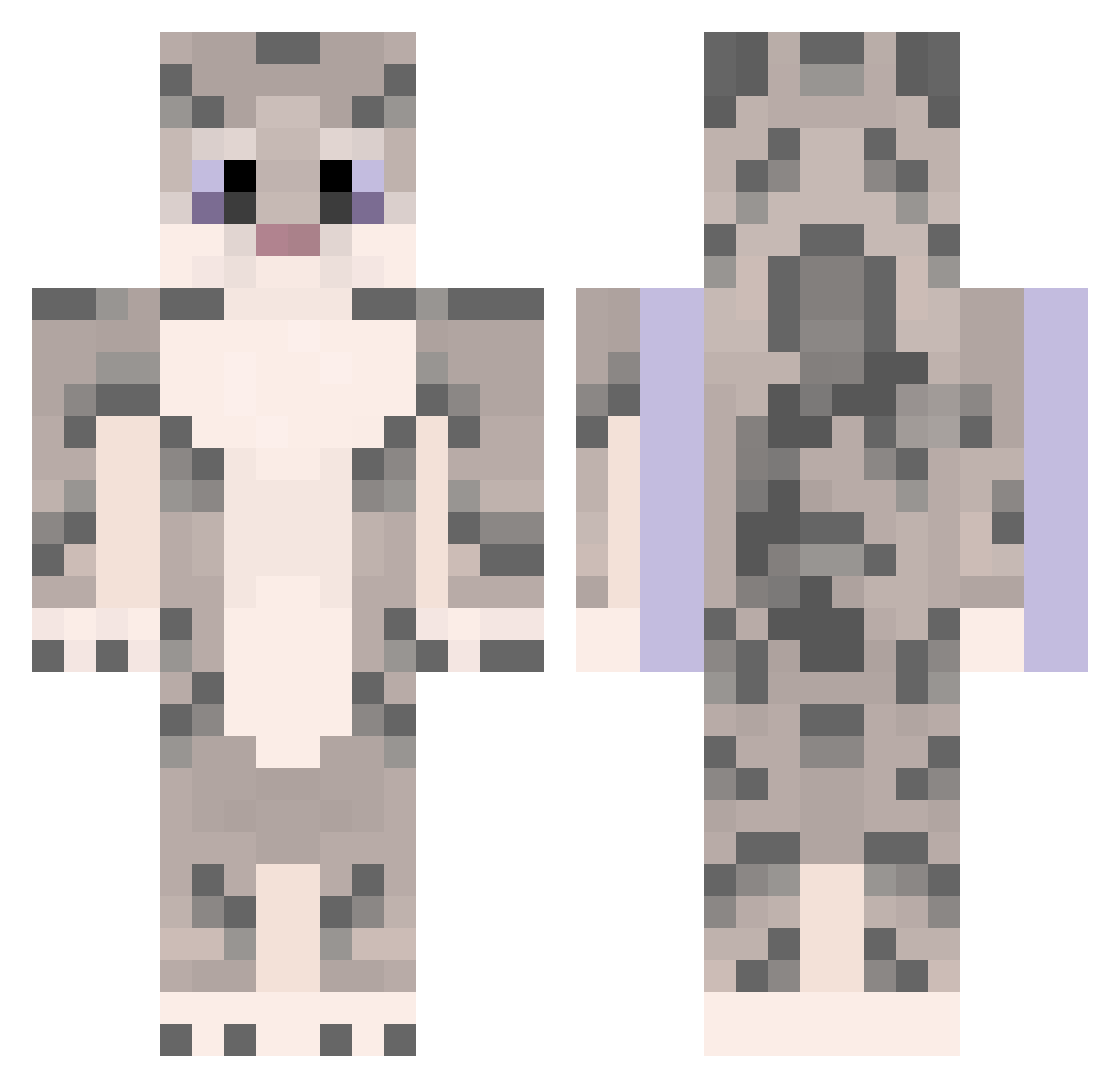 siliconSnep Minecraft skin, front and back view