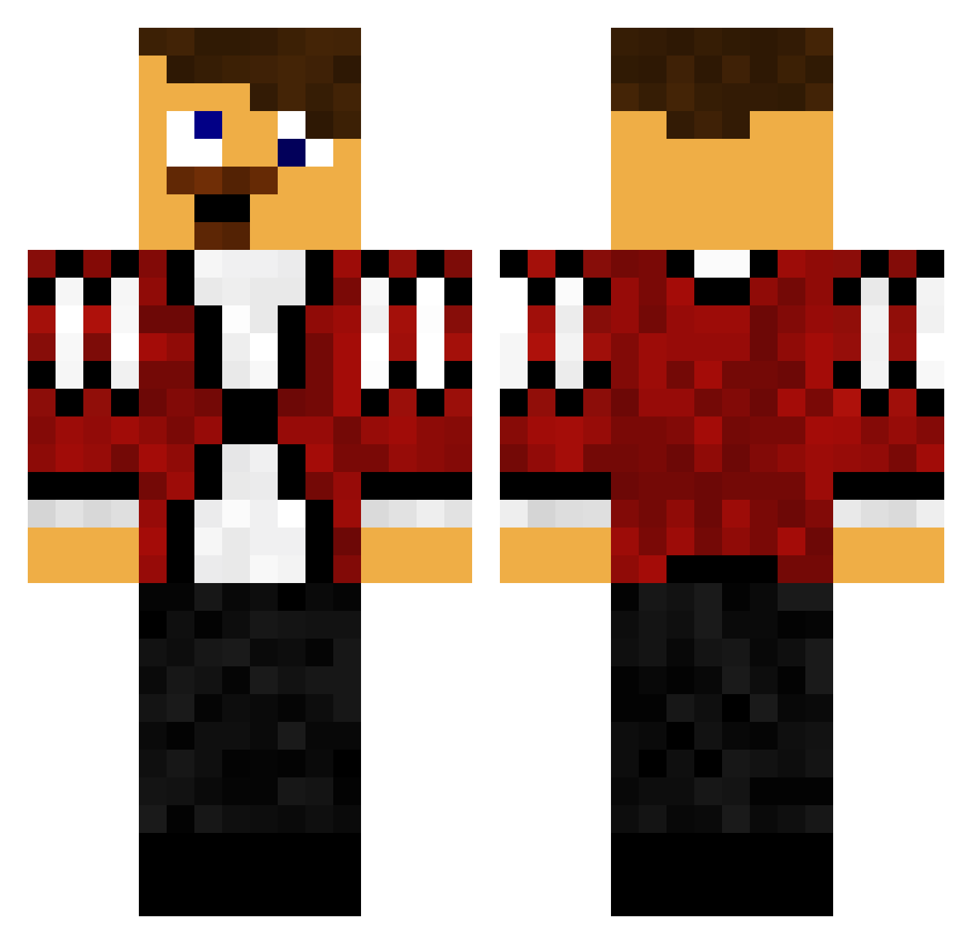 Alwerion Minecraft skin, front and back view