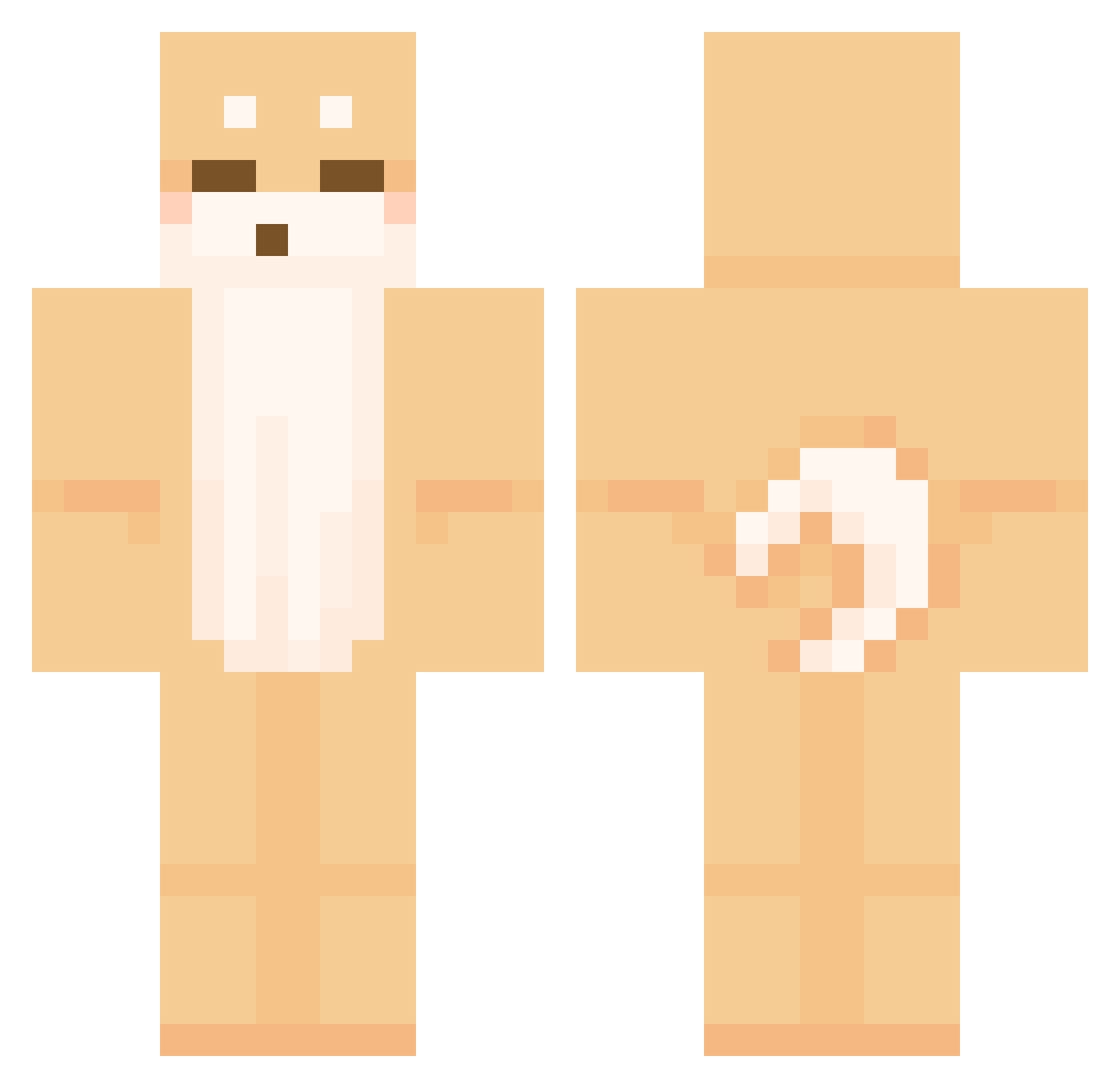 _Reiley Minecraft skin, front and back view
