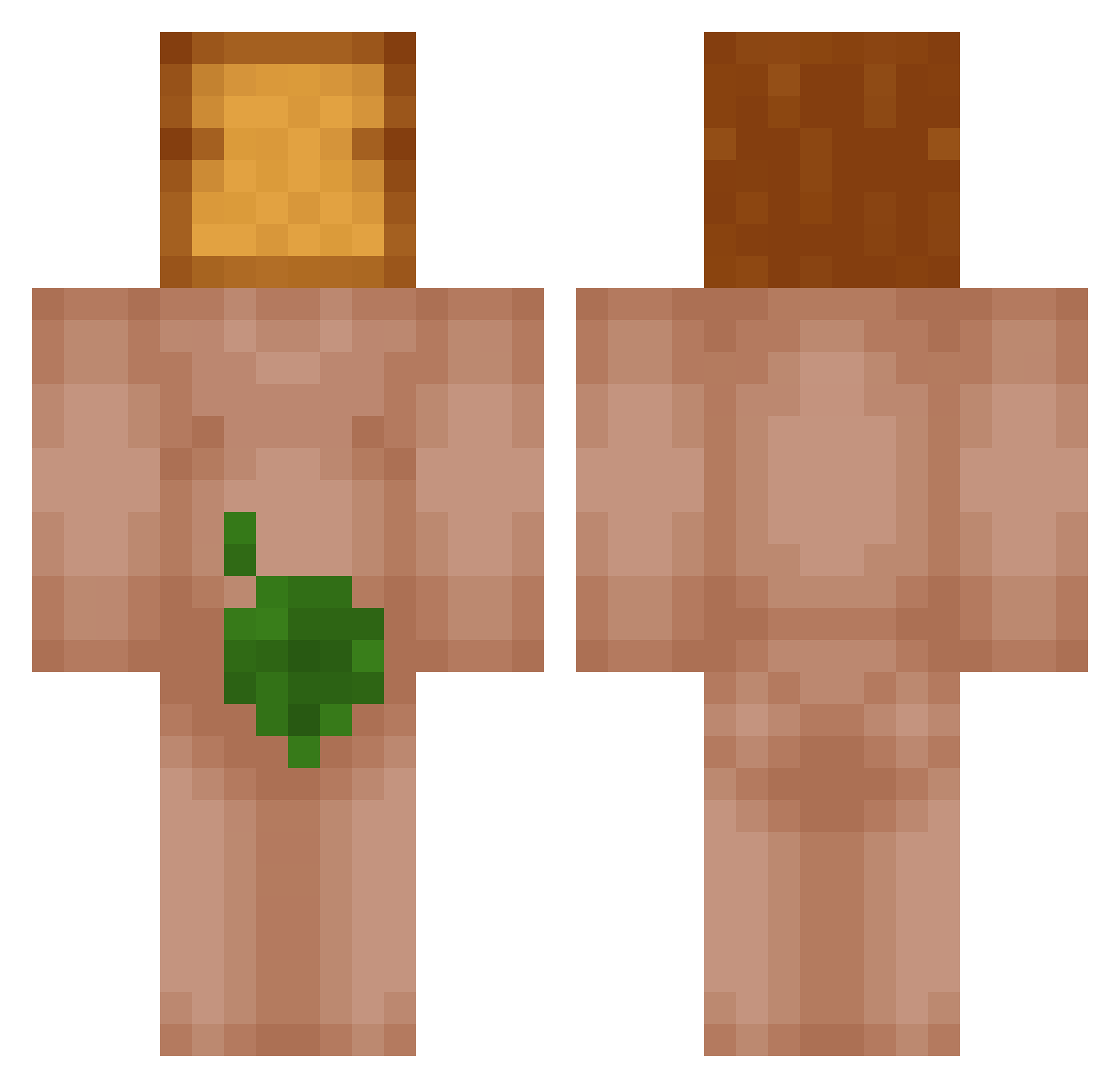 PengBag Minecraft skin, front and back view