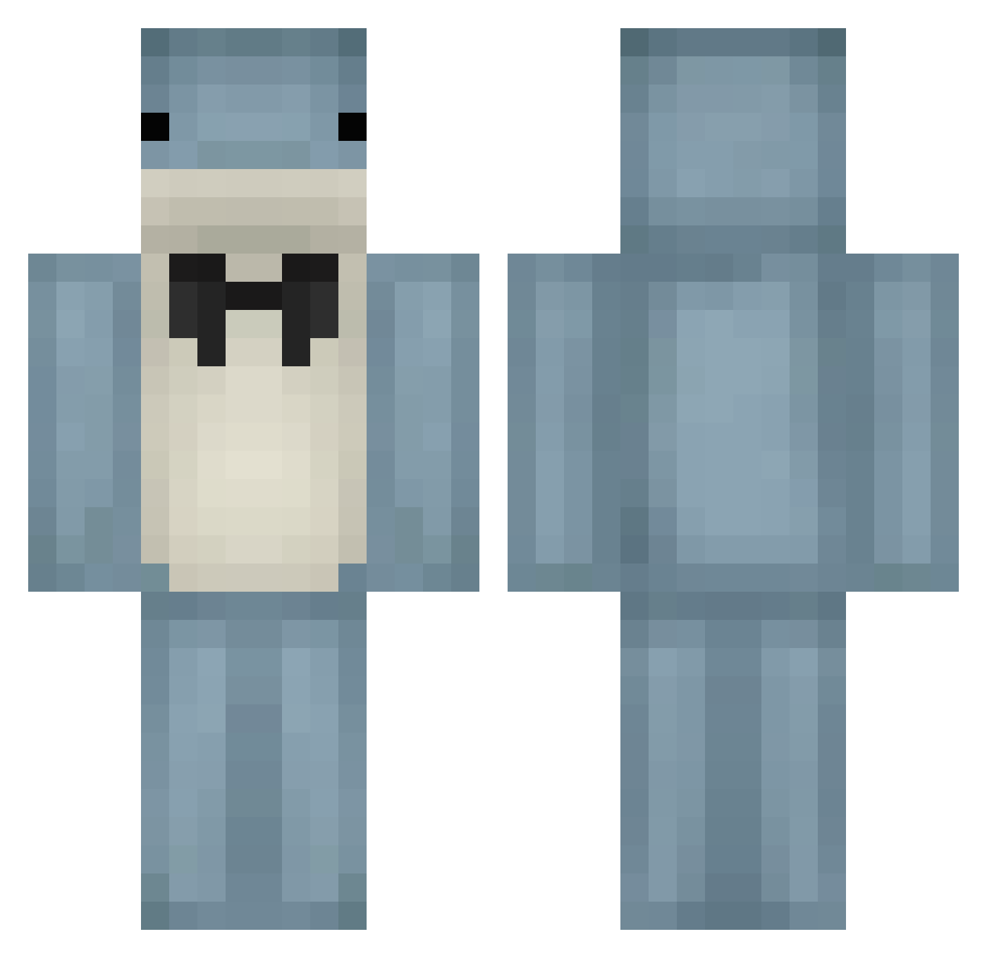 Medchu Minecraft skin, front and back view