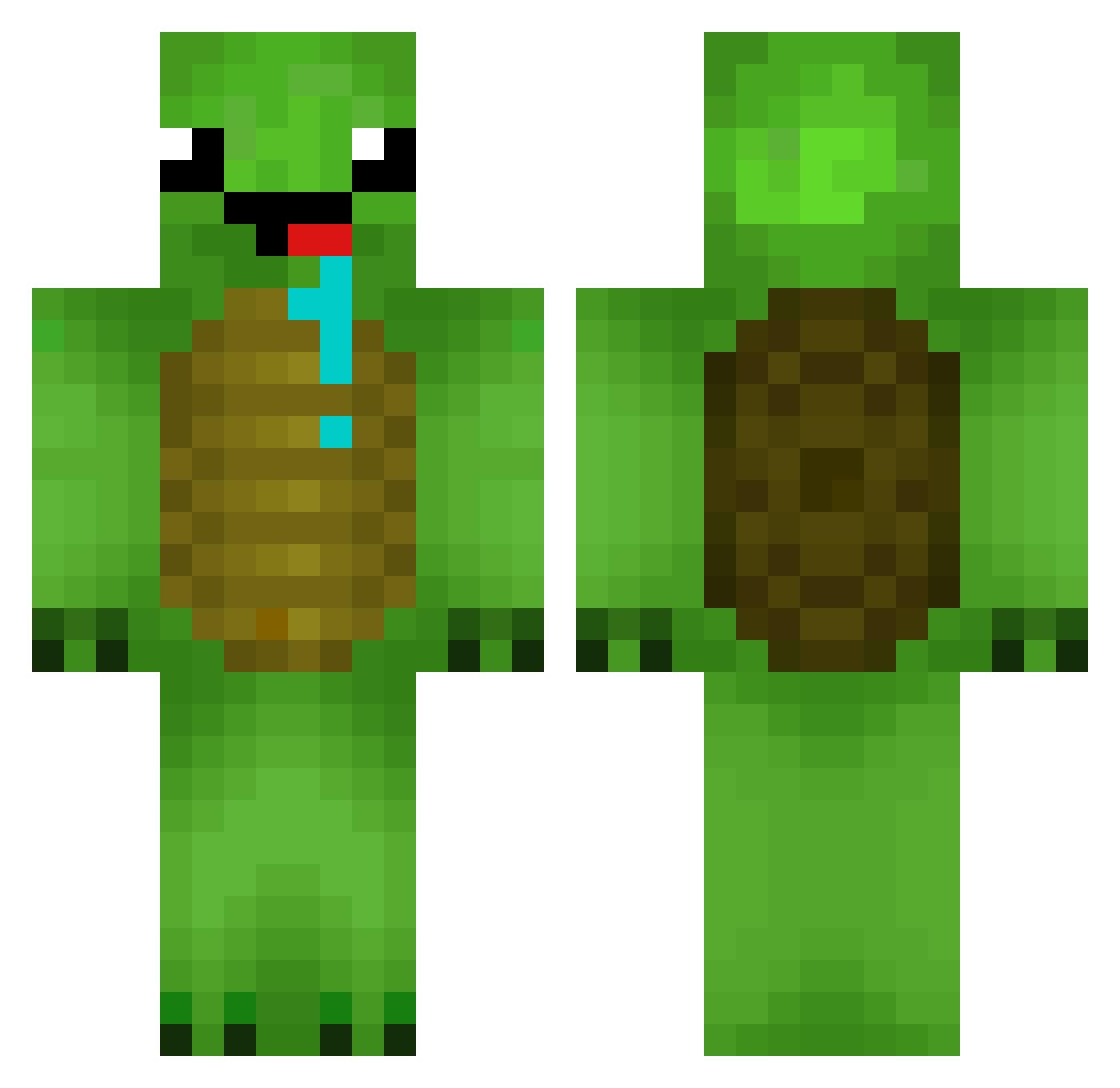 Discodolphinyt Minecraft skin, front and back view