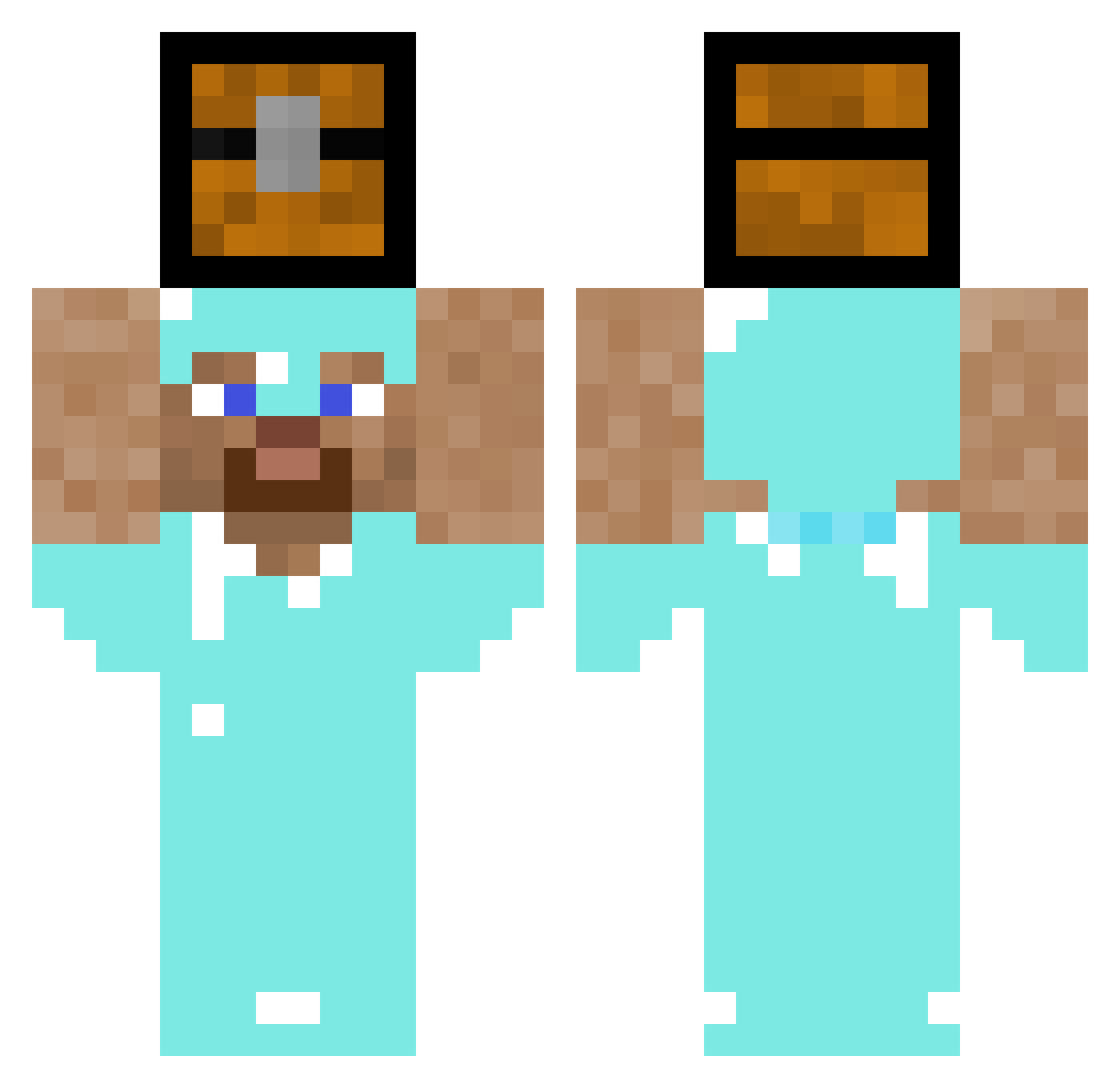 Ludvig1203 Minecraft skin, front and back view