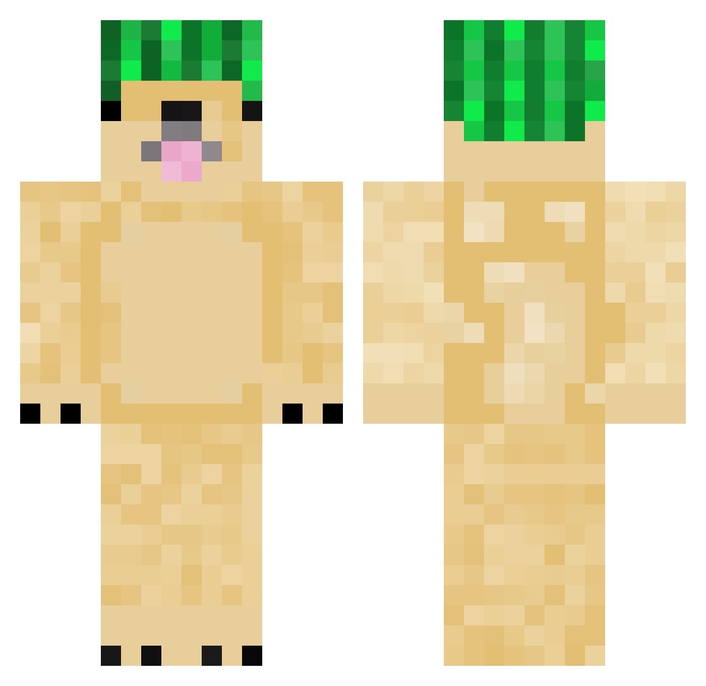 taiyou0 Minecraft skin, front and back view