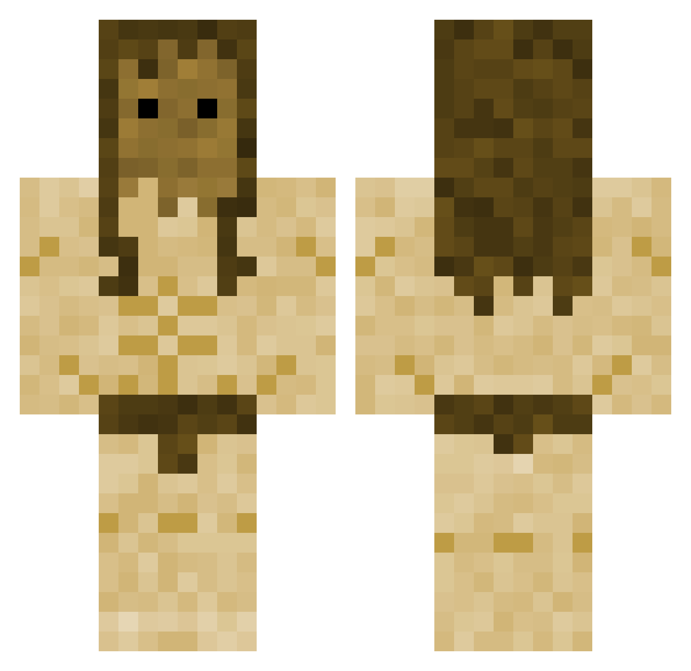 RaptorDude999 Minecraft skin, front and back view