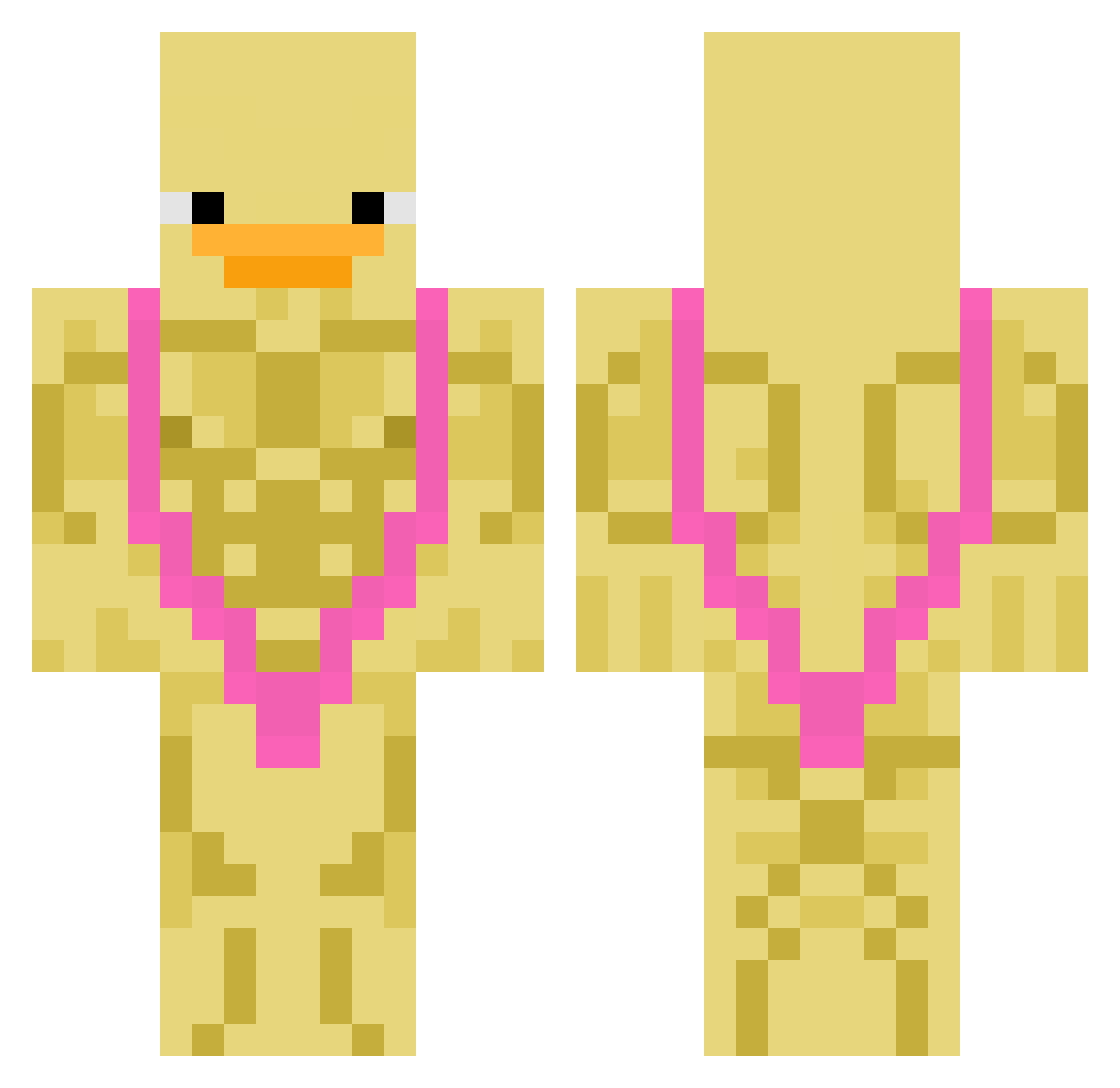TheHolyCat Minecraft skin, front and back view